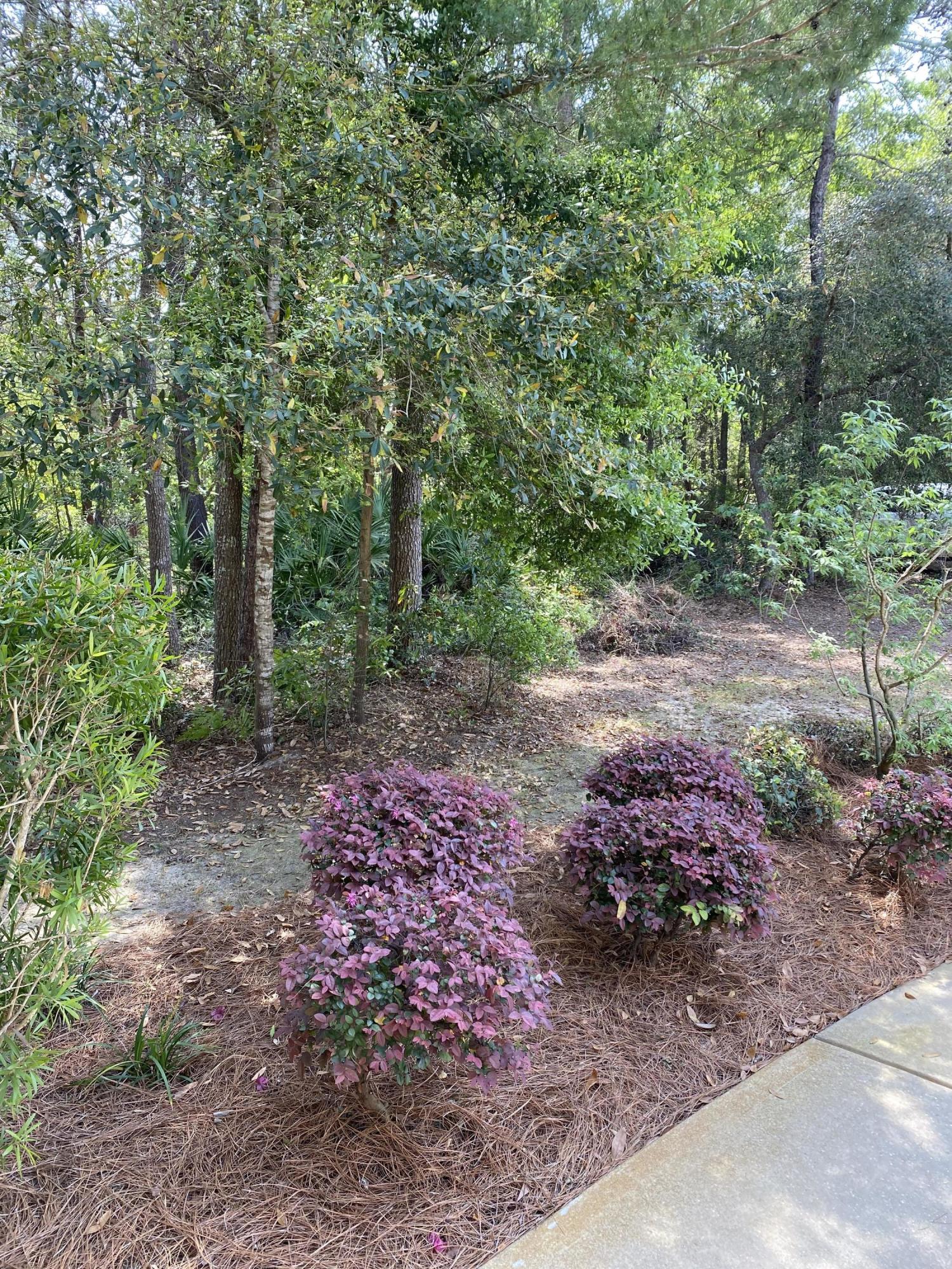 PLANTATION AT SANTA ROSA - Residential