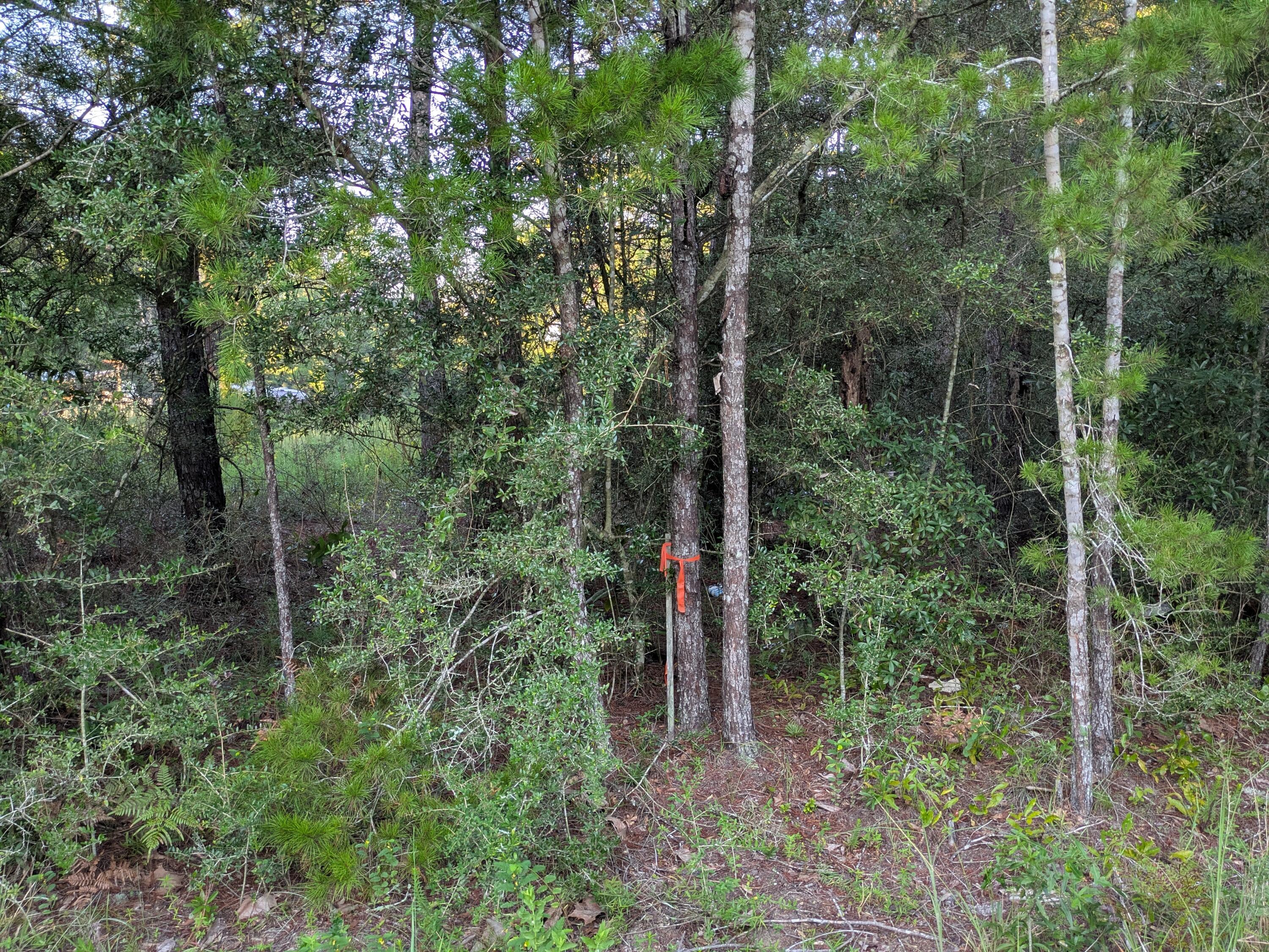 OAKWOOD HILLS UNIT 3 - Land