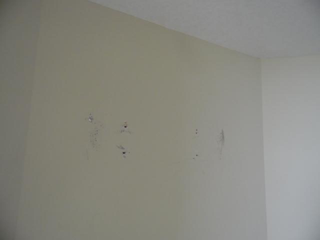 GRAND PANAMA BEACH RESORTS - Residential