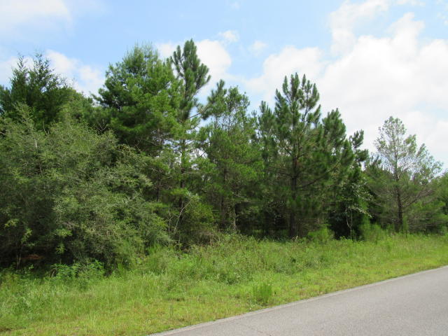 Unrestricted and close to everything! Don't miss the opportunity to own this beautiful 9 acre parcel! Located between Freeport and DeFuniak Springs this parcel is just a short drive to the Beaches of South Walton. Beautiful trees are on the property and utilities are available at the street. Several places to build your dream home! Endless possibilities and room to roam! Call for your tour today! Property being sold ''as is''.