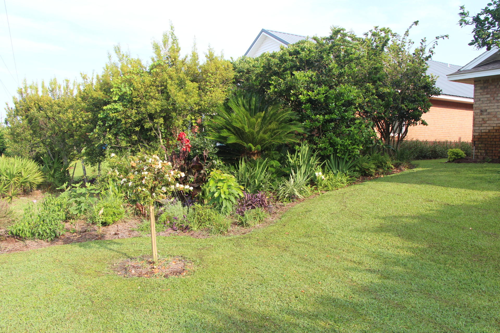 SUNSAIL S/D - Residential