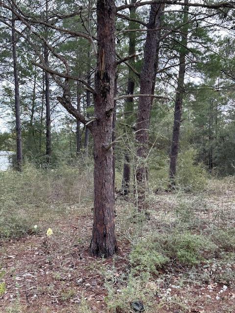 OAKWOOD HILLS UNIT 3 - Land