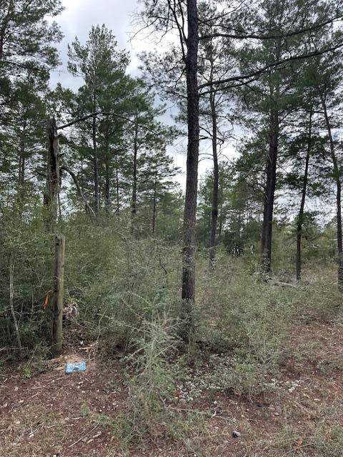 OAKWOOD HILLS UNIT 3 - Land