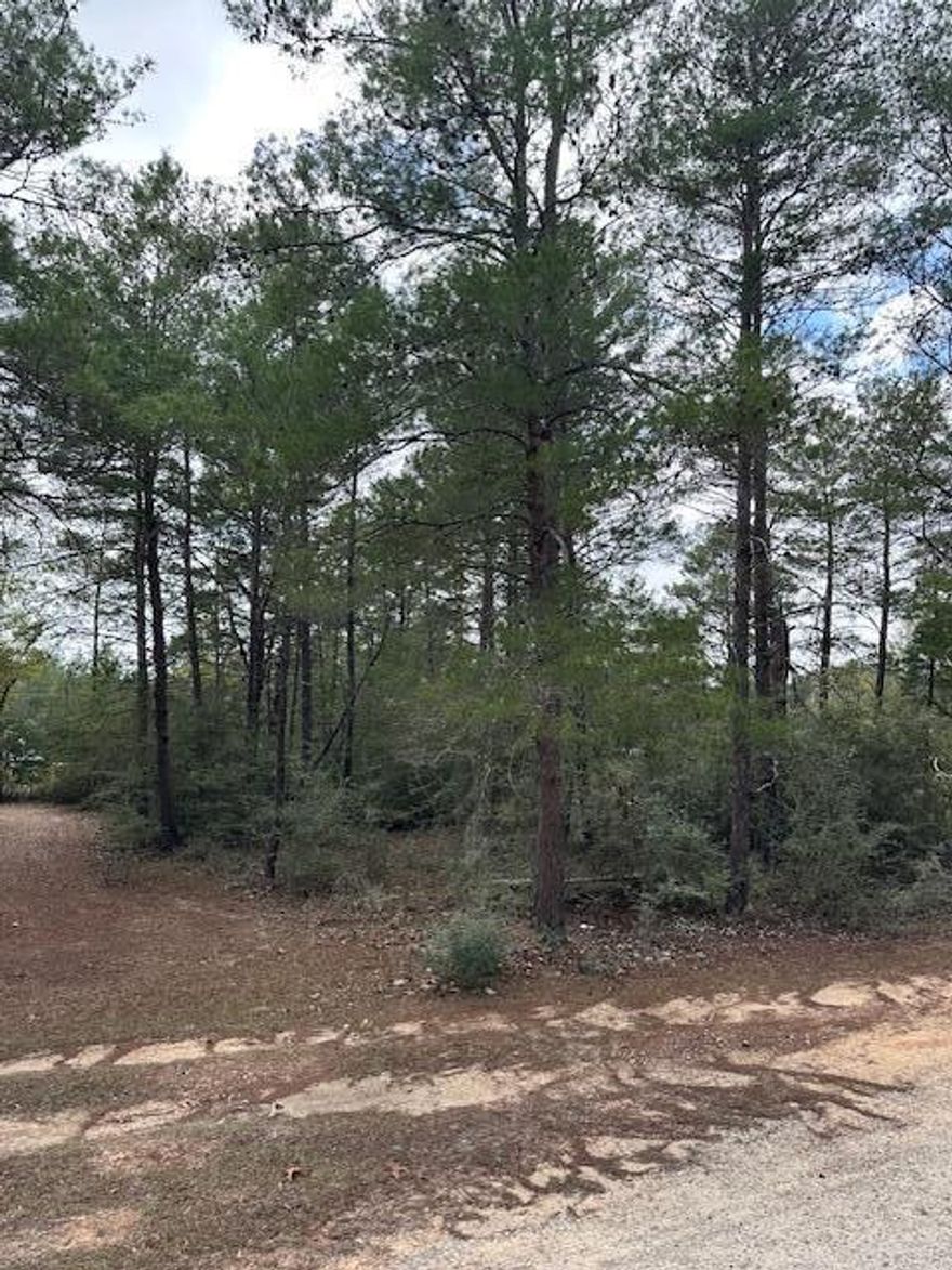 This .229-acre high-and-dry lot offers a peaceful setting with mature trees and excellent privacy. Located on a short dead-end county-maintained road, there's no cut-through traffic and no speeding cars--just a quiet, safe place to build.The road has been recently improved with crush-and-run gravel, providing a clean, stable surface with no red clay to track, slip through, or wash out during rainy weather. Public water and electricity are available, and a septic system will be needed. No survey. Adjoining Lot 10 is also available for purchaseJust around the corner is Oak Wood Hills Park, offering recreation and access to Beaver Lake for fishing, kayaking, and outdoor enjoyment.A great opportunity to build in a peaceful setting with convenient access to local amenities The information provided in this listing is believed to be accurate but is not guaranteed. Lot size, dimensions, and acreage (.229 acres) are estimates based on public records and should be independently verified by the buyer. Buyer is responsible for confirming all zoning, land use, setbacks, flood zone designation, wetlands, soil conditions, and any permitting requirements 

Public water and electricity availability are based on utility provider information; buyer must verify connection fees, tap fees, service capacity, and installation requirements directly with the utility companies. A septic system will be required.

No warranties are expressed or implied regarding the condition of the land, including but not limited to soil stability, drainage, access, suitability for construction, or future land use.