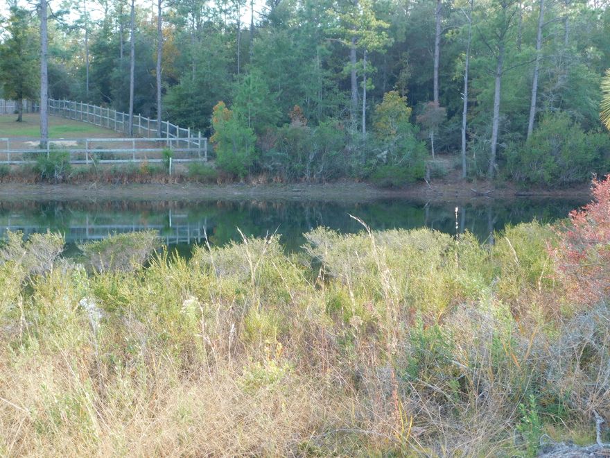 Nearly 4 acres on the Lake! New construction next door! Bring your house plans!! 3.93 AC level ground to build you dream house!! Lovely neighborhood, lakefront, and additional land available!!