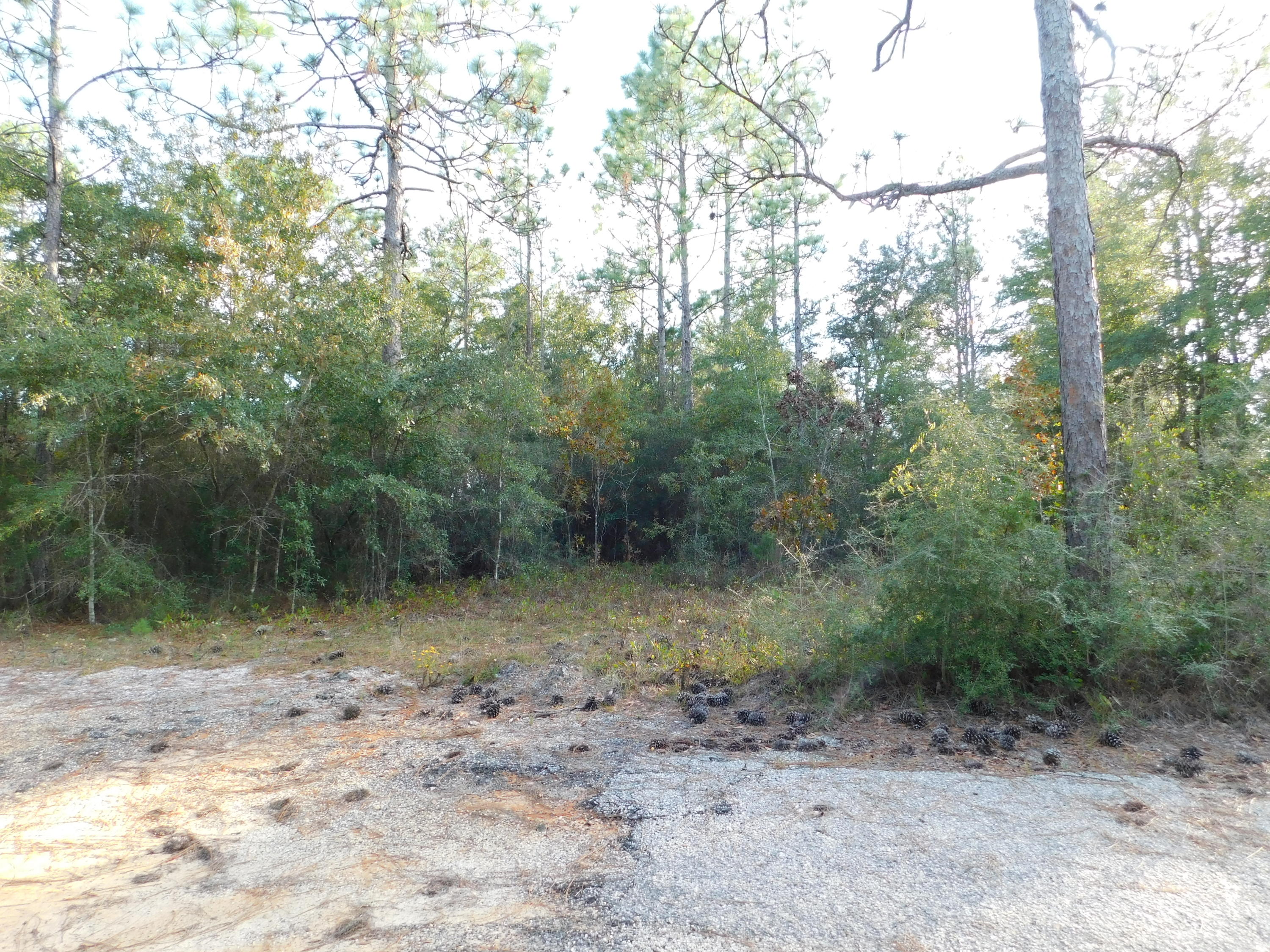 METES & BOUNDS - Land