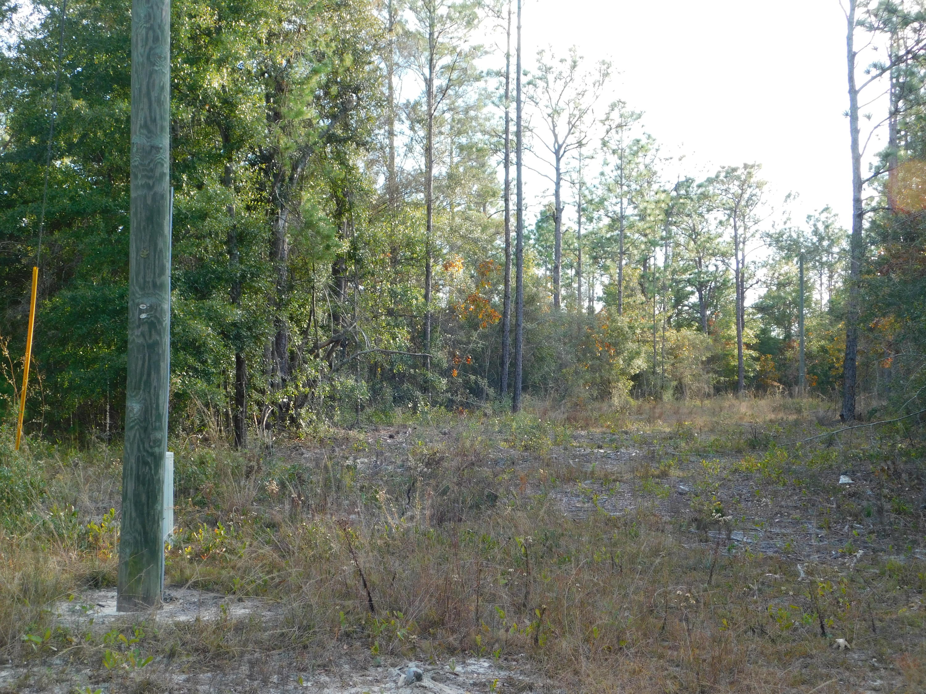 METES & BOUNDS - Land