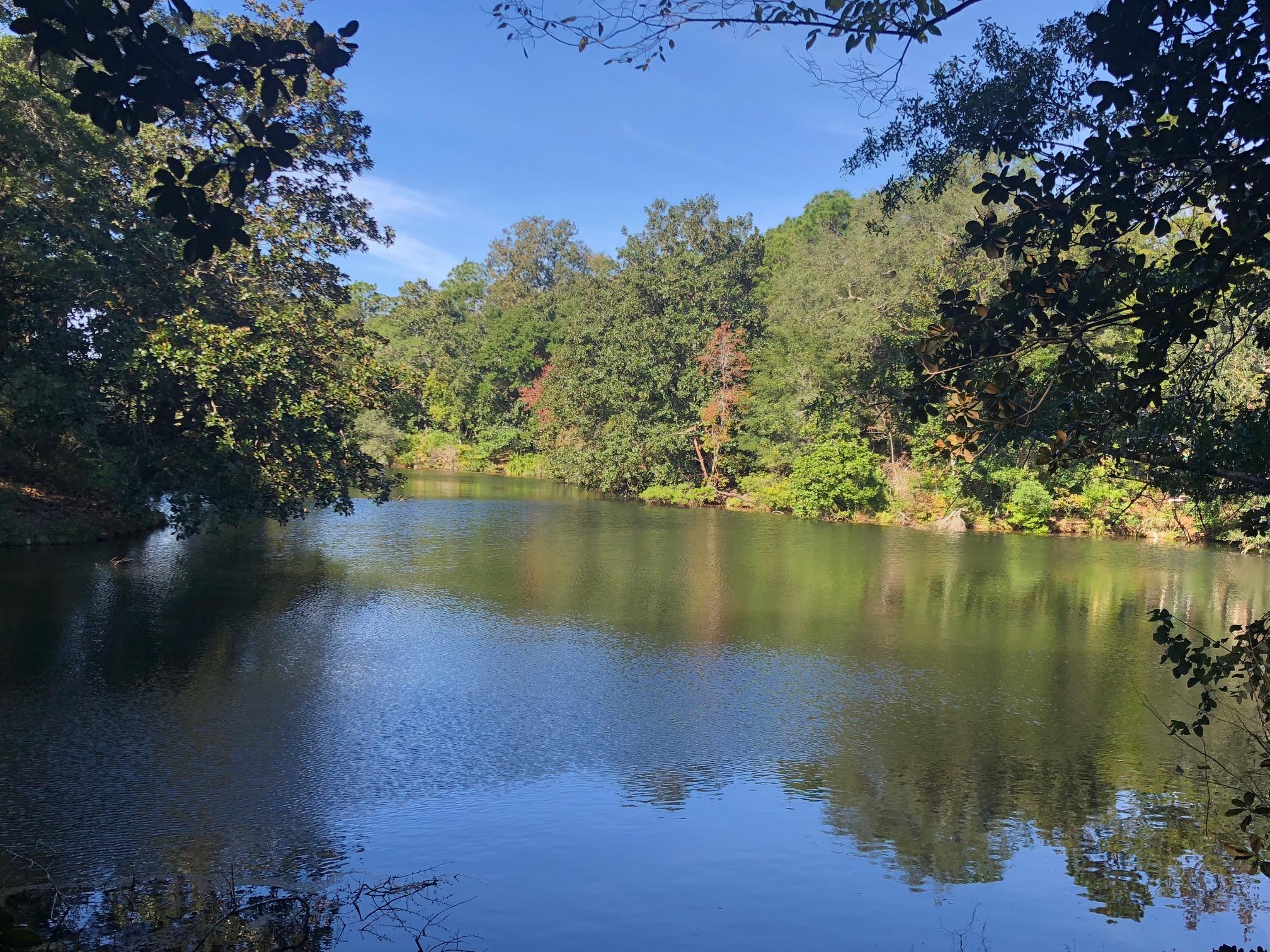 Build your dream home on this gently sloping lot on Werk Lake in Rocky Bayou Country Club Estates. This wooded .60 acre lot at the end of a cul-de-sac with 221' on the lake is the perfect place to build your forever home because it is in a very quiet neighborhood yet centrally located in the heart of Niceville. Dont miss out on this one!