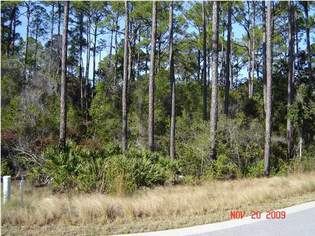 TREETOP VILLAGE - Land