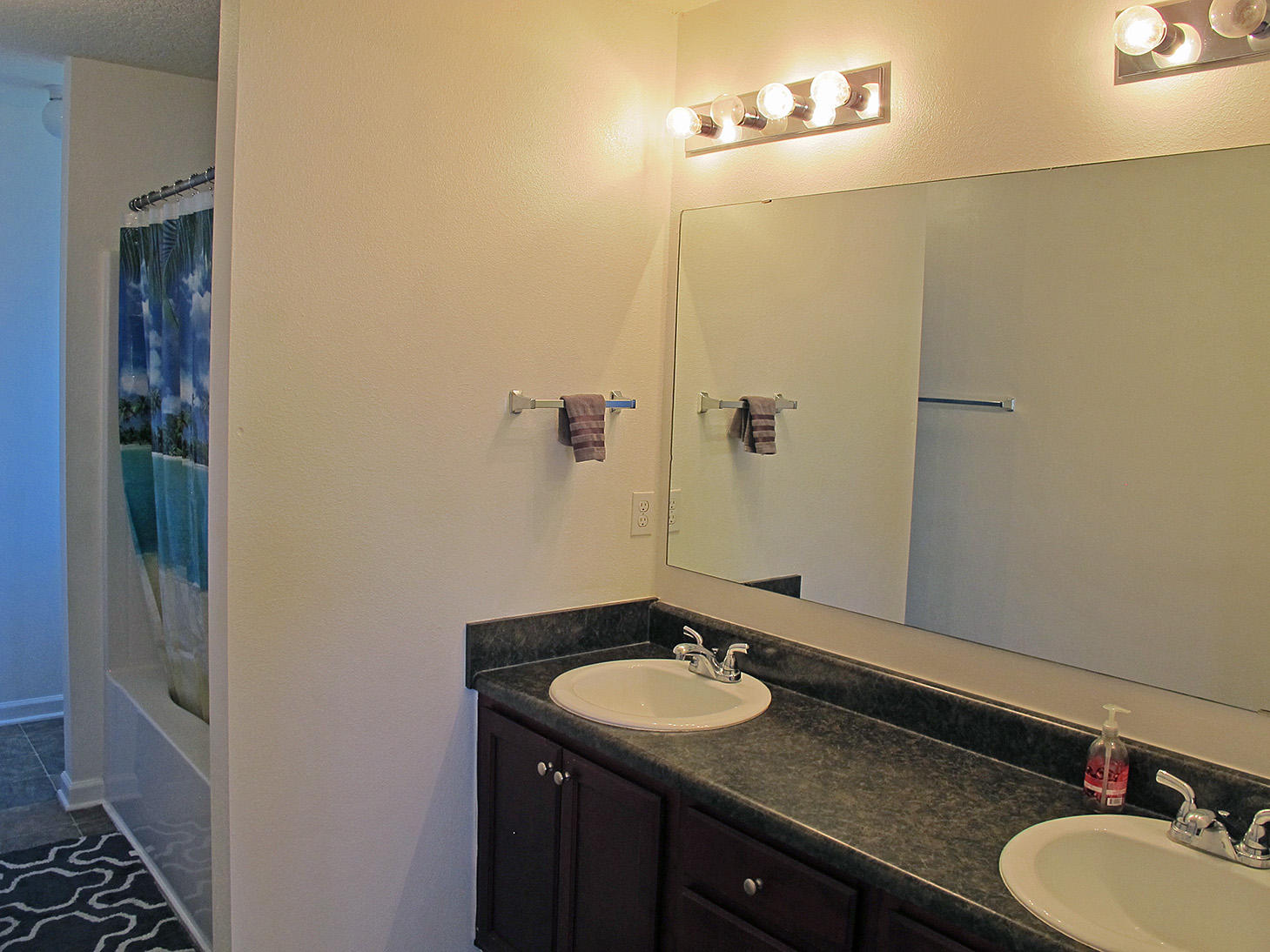 PROMISE CREEK - Residential