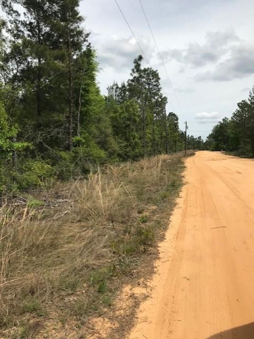 5 acres of beautifully wooded land ready for your home site! There is a small lake at the back of the property. Country living at it's best!