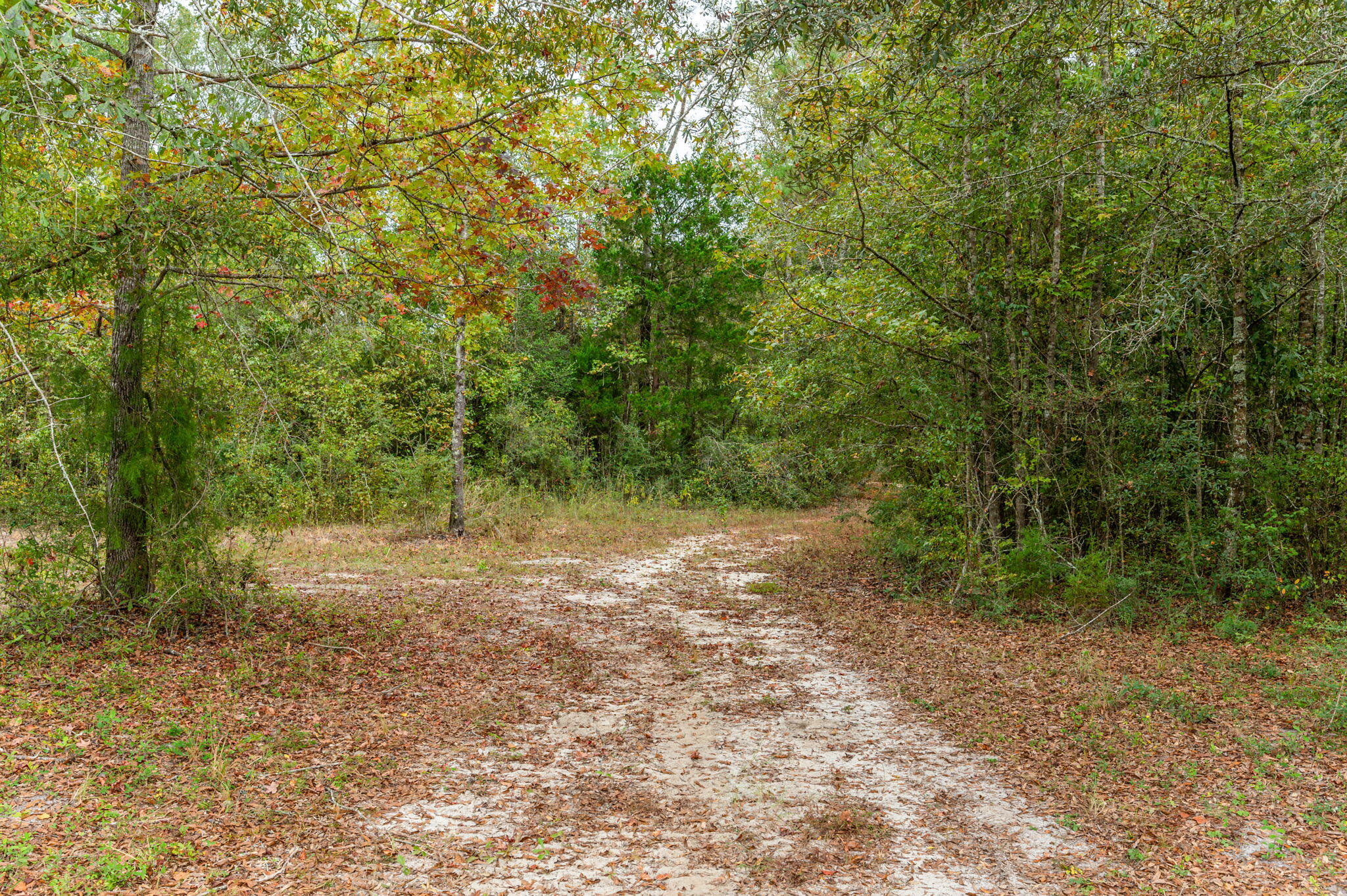 METES & BOUNDS - Land