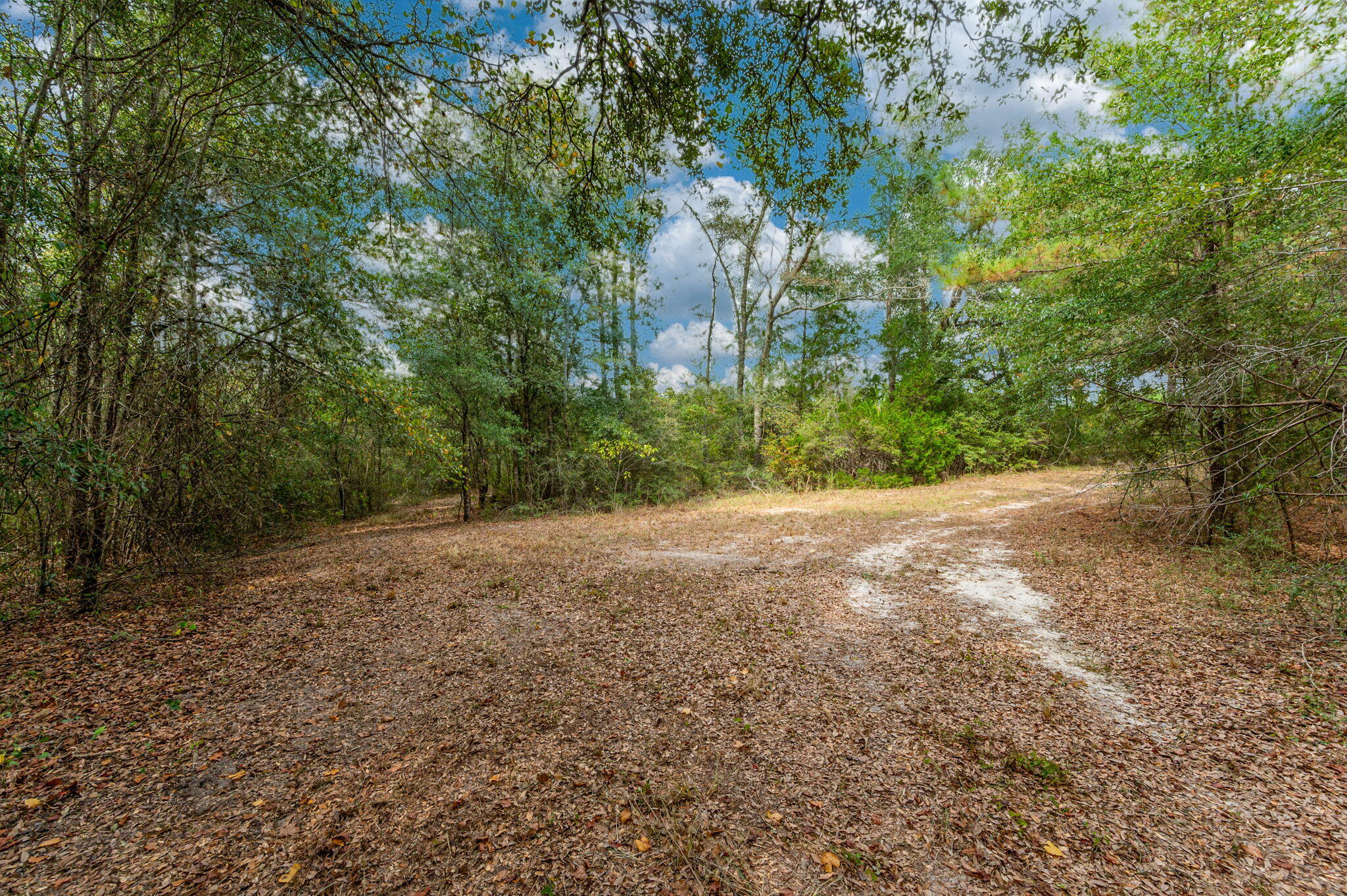 METES & BOUNDS - Land