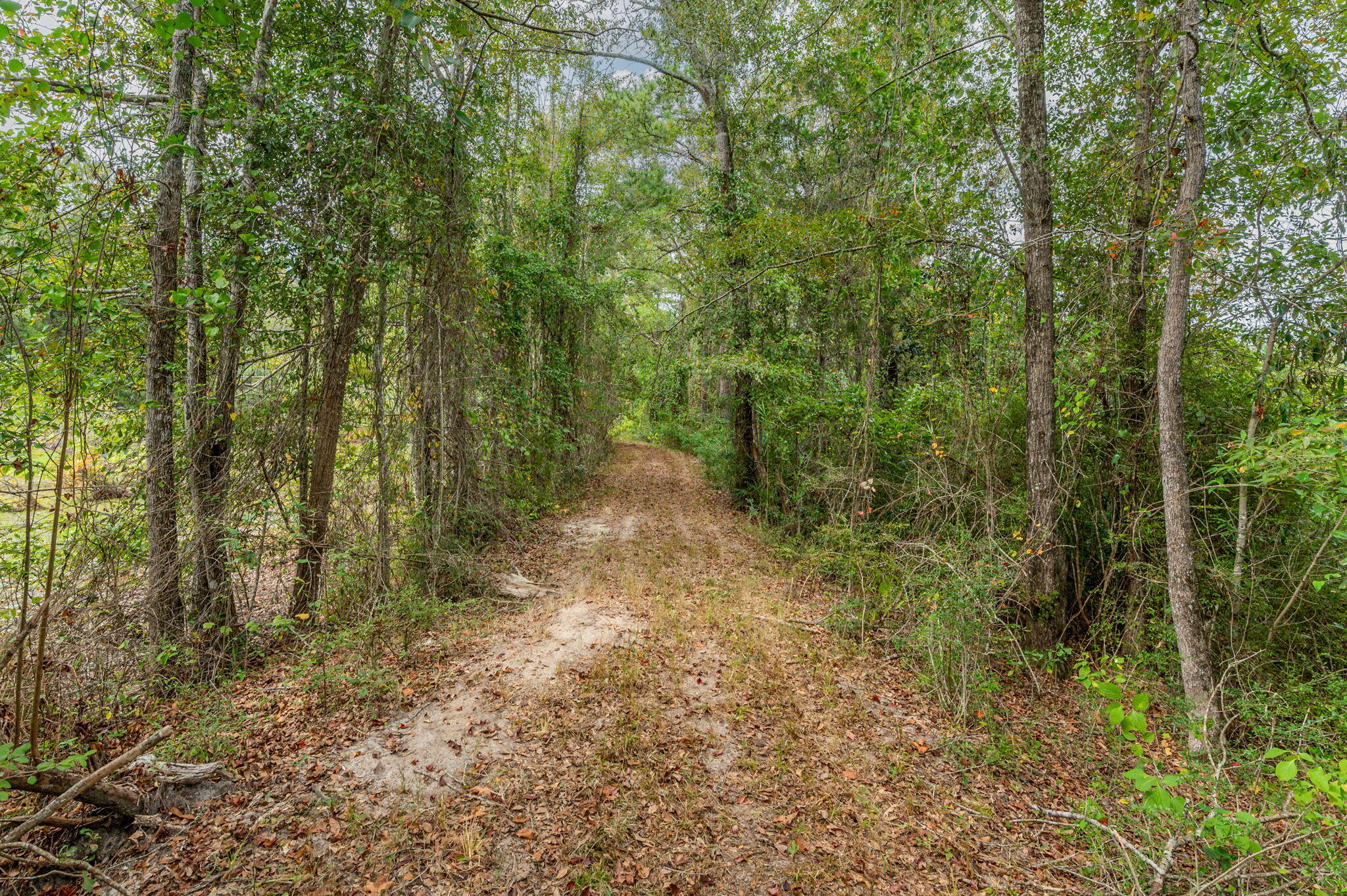 METES & BOUNDS - Land