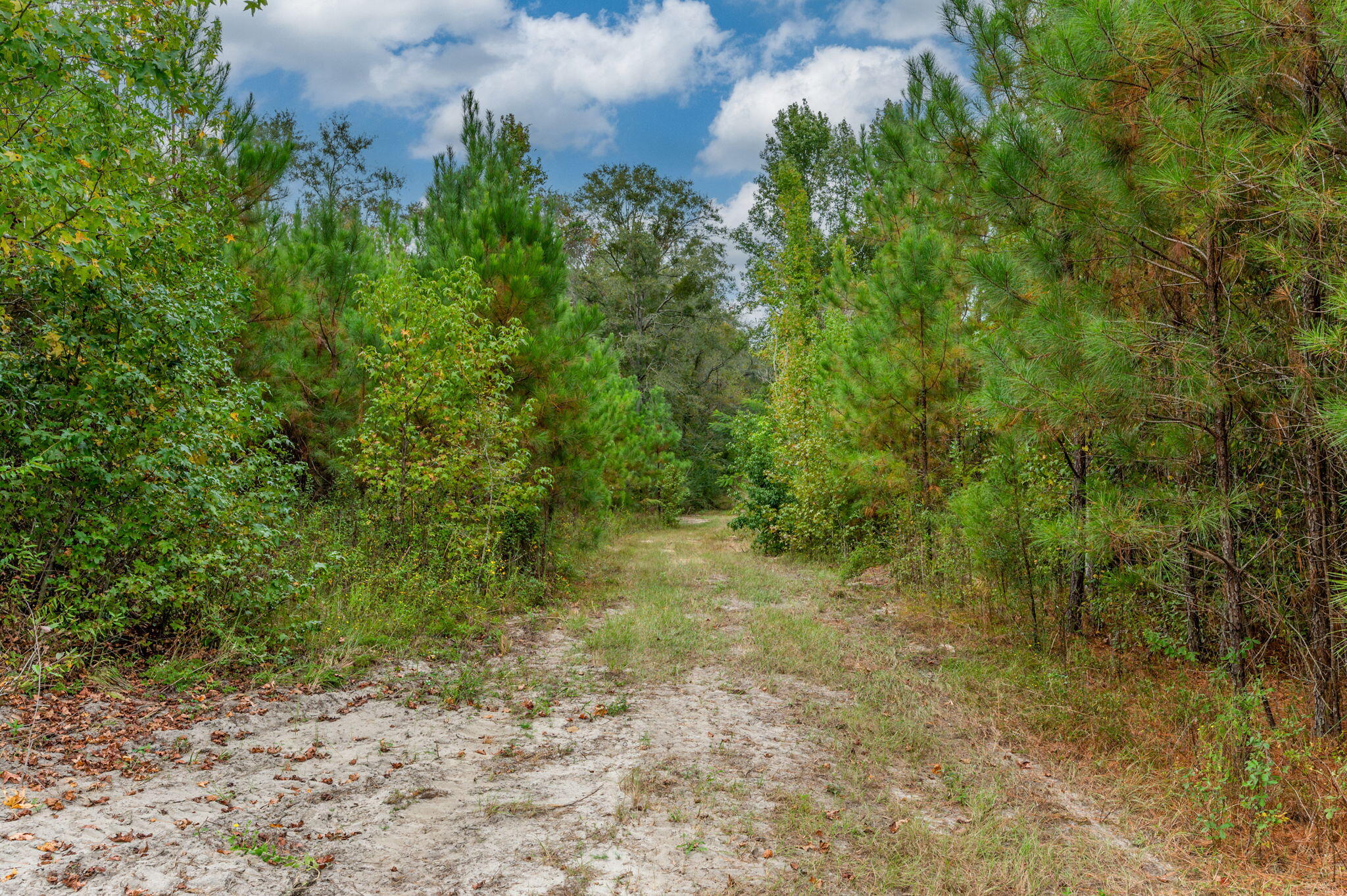 METES & BOUNDS - Land