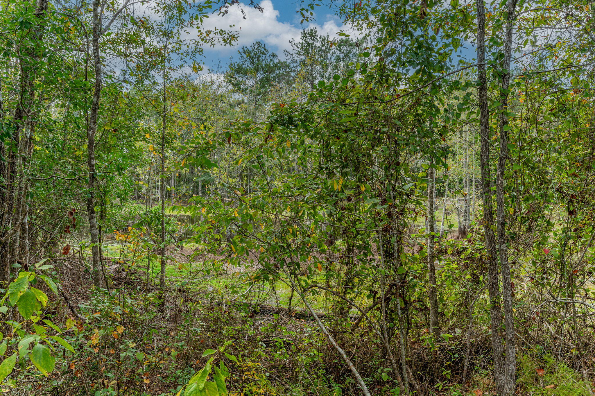 METES & BOUNDS - Land