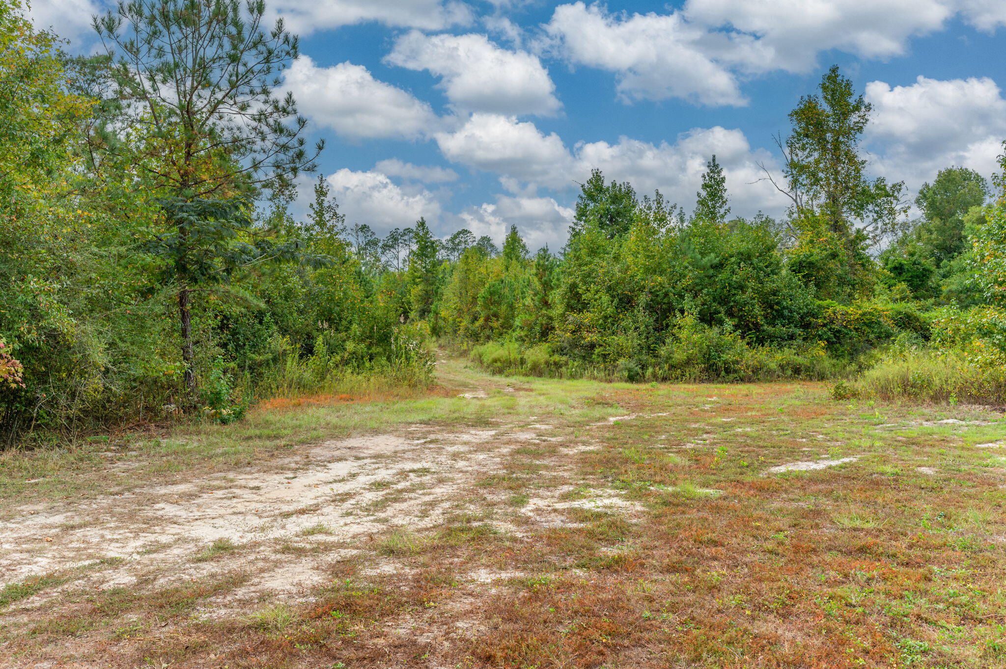 METES & BOUNDS - Land