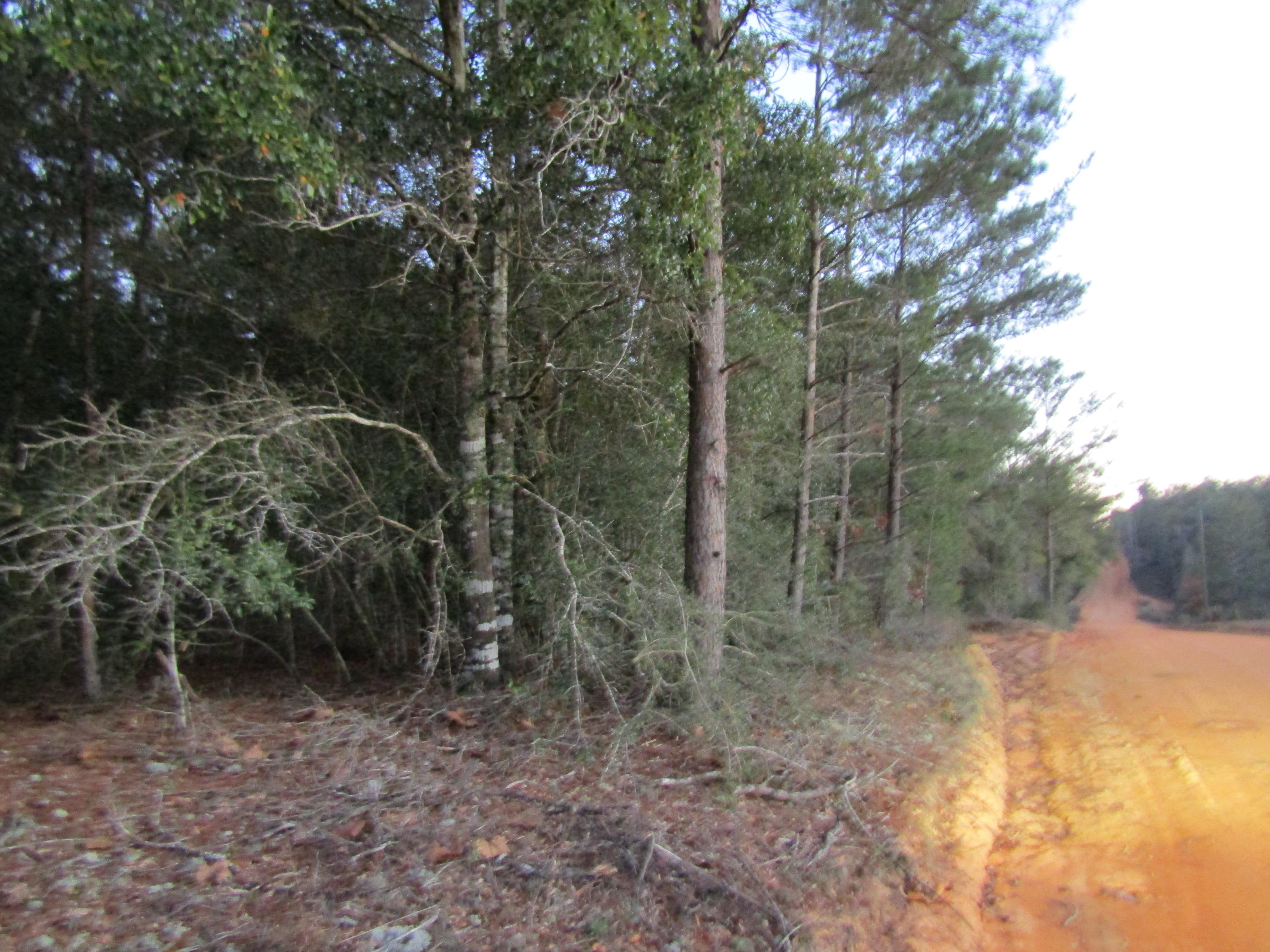 Rio Ranchero Unrecorded S/D - Land