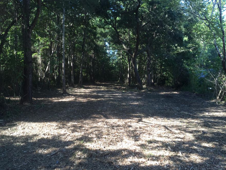 Priced to sell - 1/2 acre lot 54 wide and 425 deep, oak trees, across the street just a few hundred feet from the Choctawhatchee Bay. Quiet neighborhood, no thru traffic. Perfect for second home site or someone looking to be out of the fray of beach traffic. Potential bay views on second and third floors. Survey in documents. Recently cleared to show mature oaks on lot and clay road into lot installed. Water tap paid and in. Owner financing available.