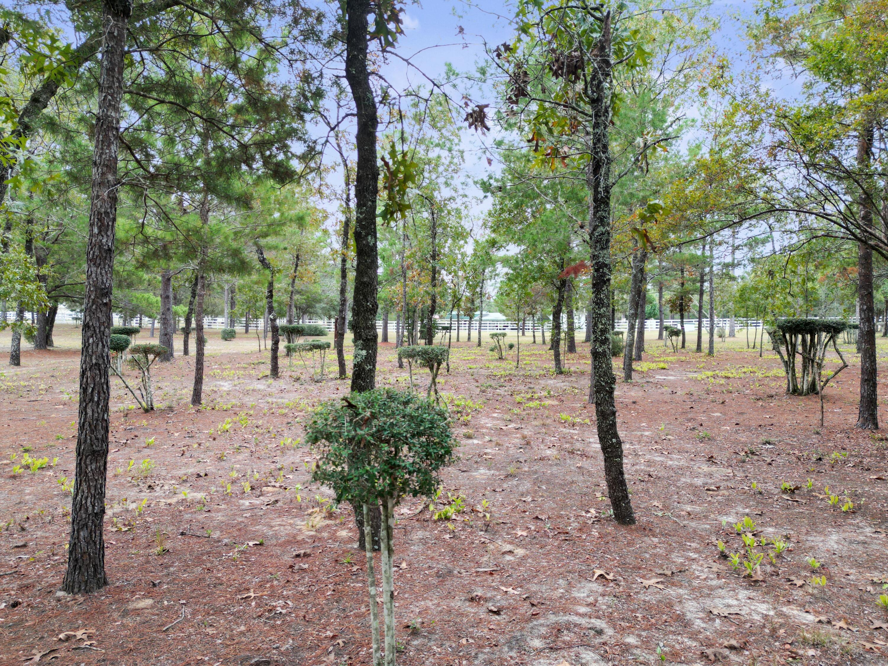 Delaware Plantations - Farm