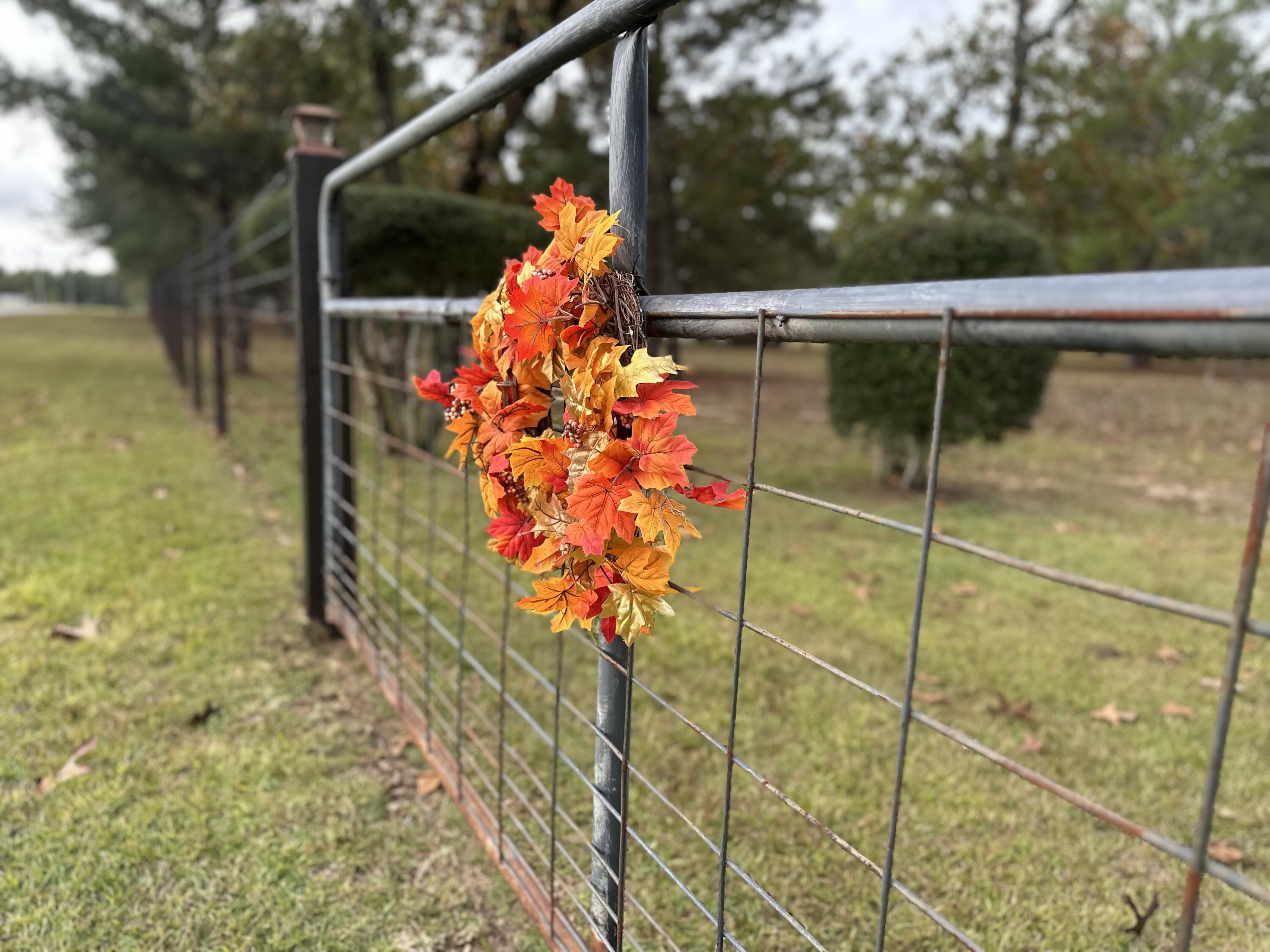 Delaware Plantations - Farm