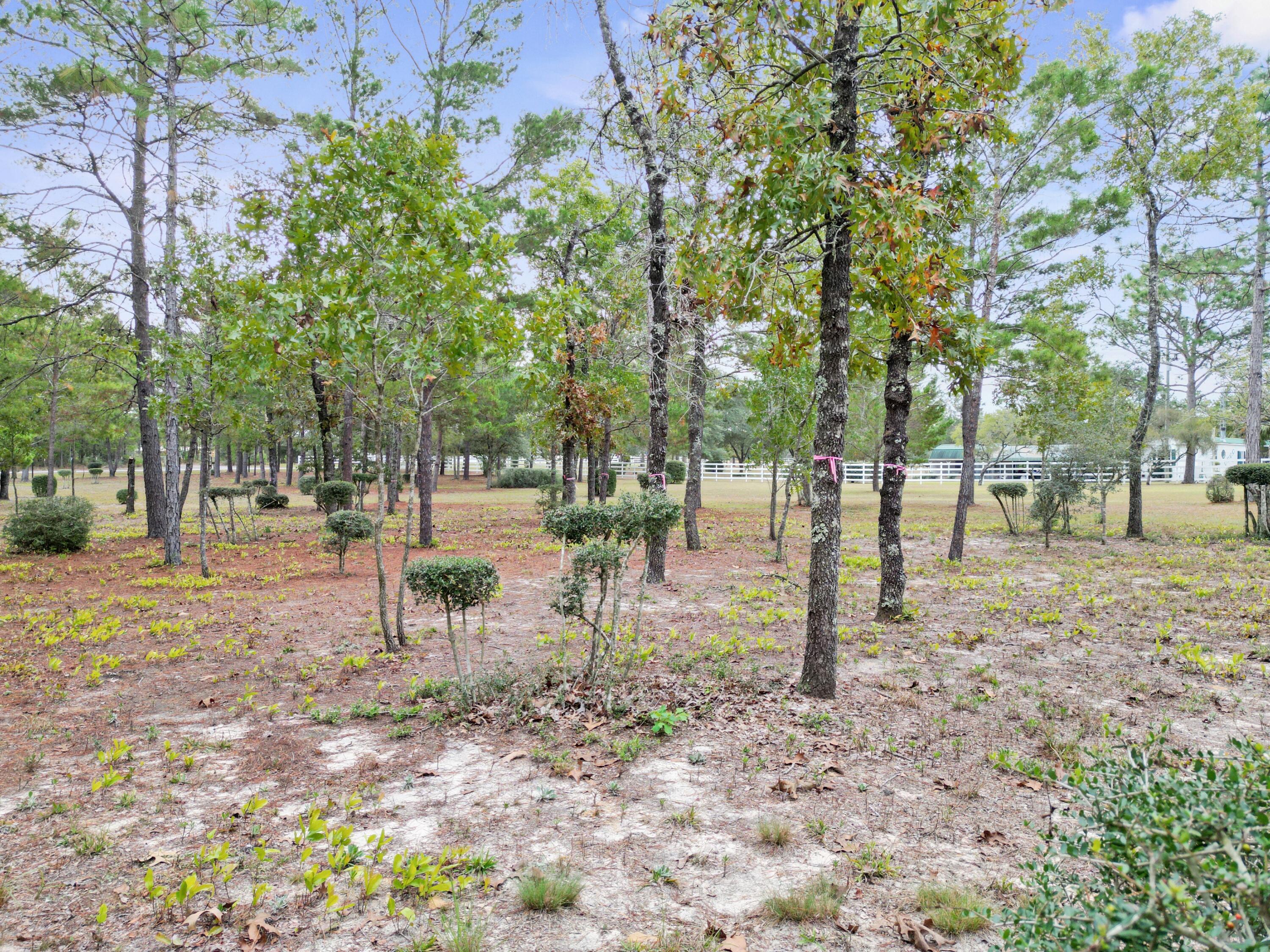 Delaware Plantations - Farm