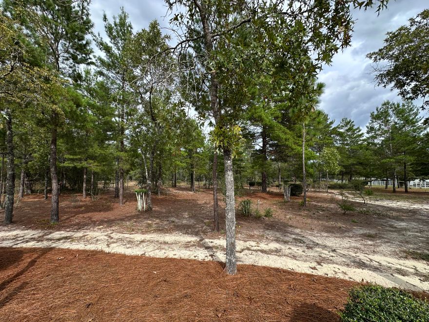 Experience love at first sight with this 5.31-acre sanctuary tucked near the end of Blackfoot Drive and fronting peaceful Cherokee Lane. Meticulously maintained and thoughtfully landscaped, this parcel feels more like a private park than vacant land.Fully fenced with a custom gated entry, the property features evening accent lighting and lush, manicured greenery throughout--truly one of a kind. A working well is already in place, and utilities are accessible for future connection.Survey markers are clearly visible near the gates, making this property clean, organized, and builder-ready. Enjoy quiet cul-de-sac living where deer graze and the only traffic you'll notice is the breeze moving through the trees.