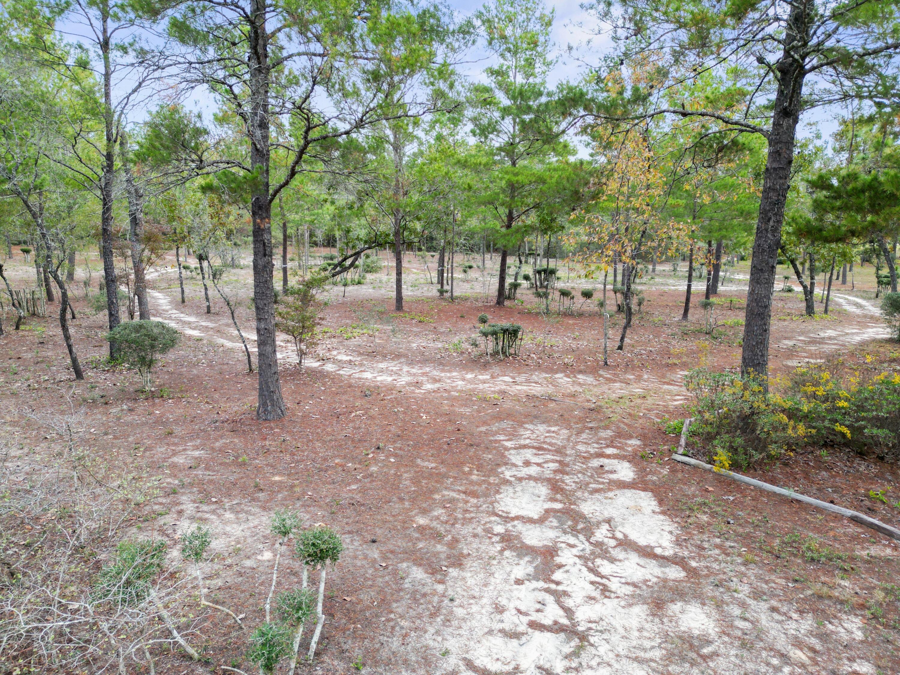 Delaware Plantations - Farm