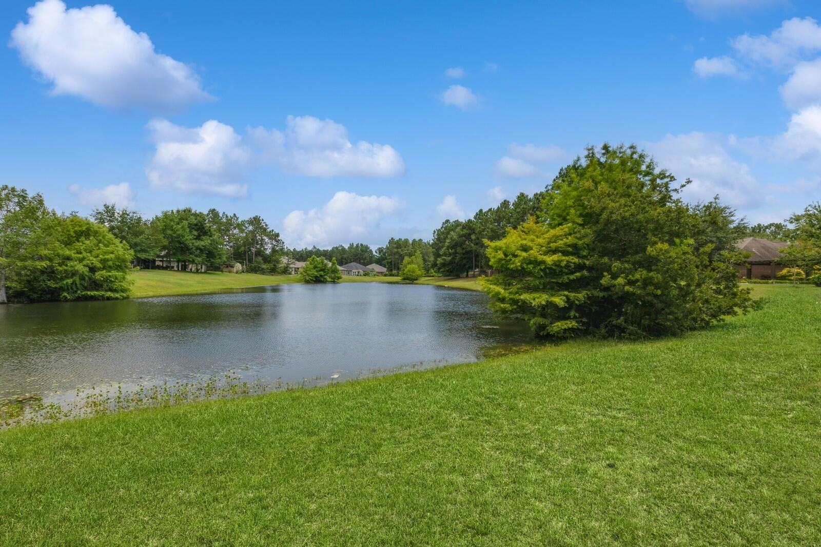 HAMMOCK BAY - Residential