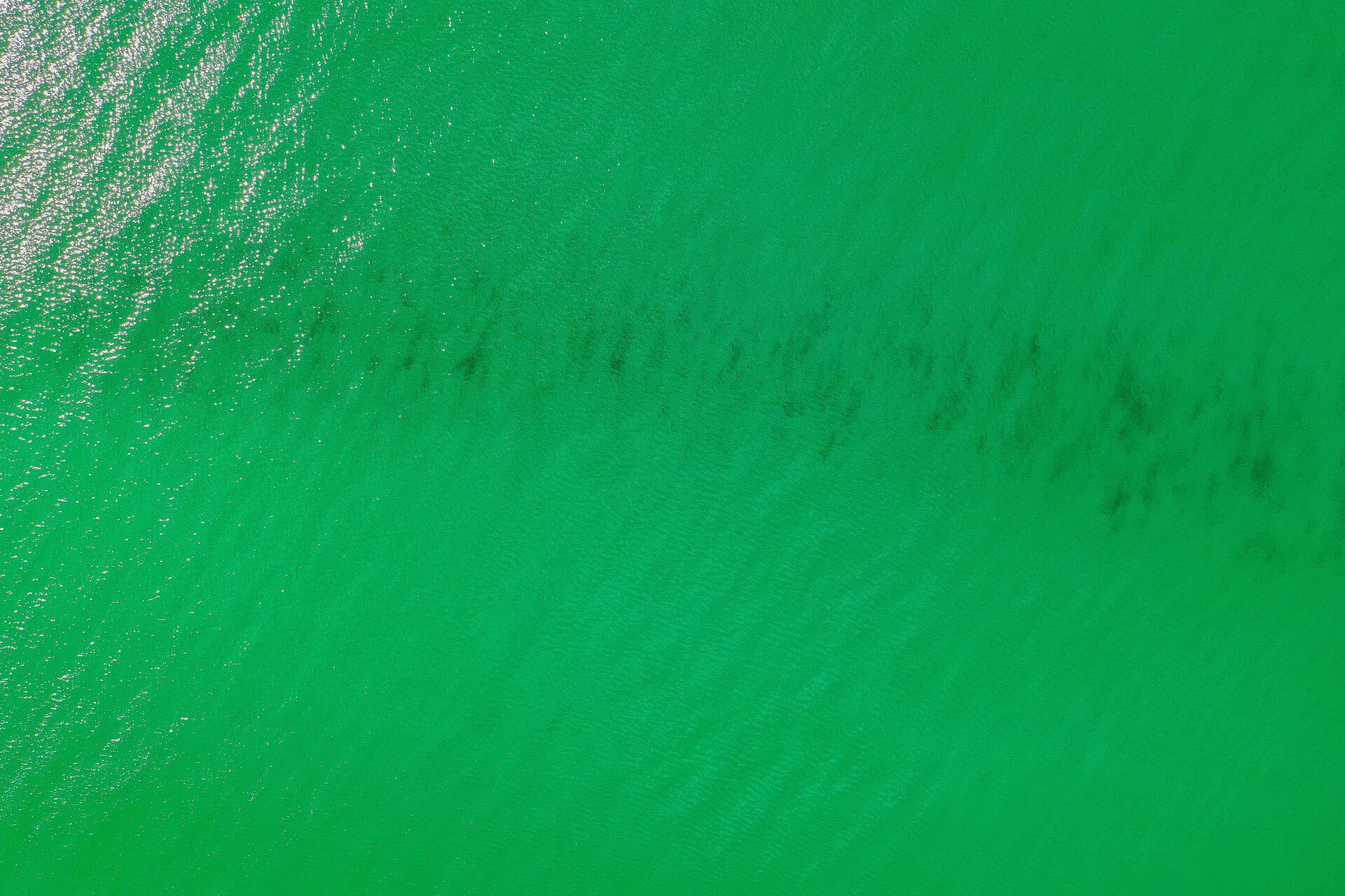 EL MATADOR CONDO - Residential