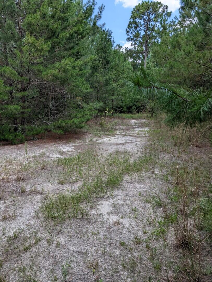 Need some elbow room in Freeport? Well here is your chance, offering for sale 1.928 acres along with an adjacent parcel of .774 acres. Just 13 miles to the beautiful Gulf of America. Tucked behind mature trees you will find a large pond, and level land that will make a lovely setting for your dream home. Public water is available, electric is on site, septic needed. Have a large footprint of 2.702 acres with both parcels for $250,000 in flood zone X.