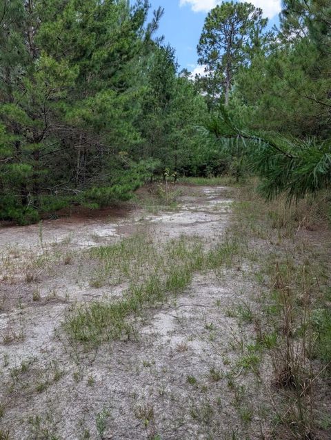 Photo of TBD Chief Bragg Drive, Freeport, FL 32439 (MLS # 980449)