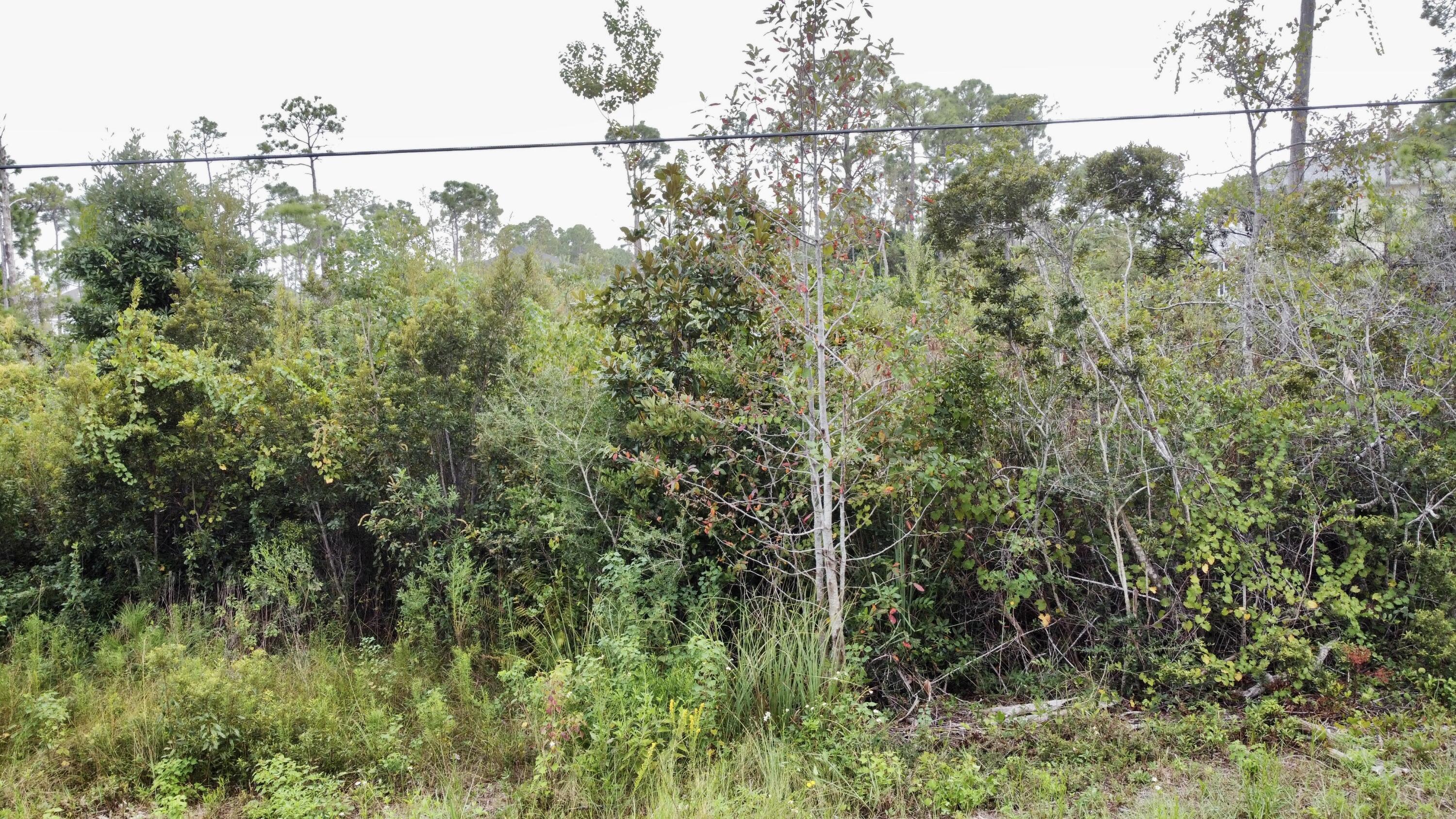 SHELTER COVE ESTATES - Land