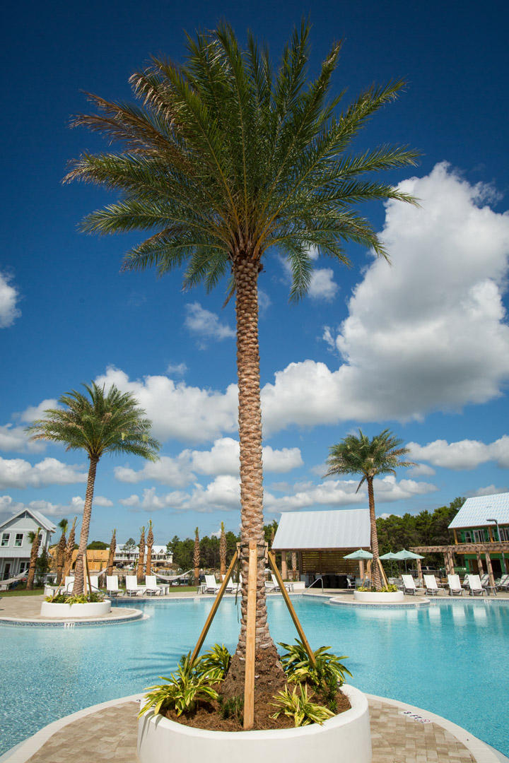 Prominence Triplexes - Residential