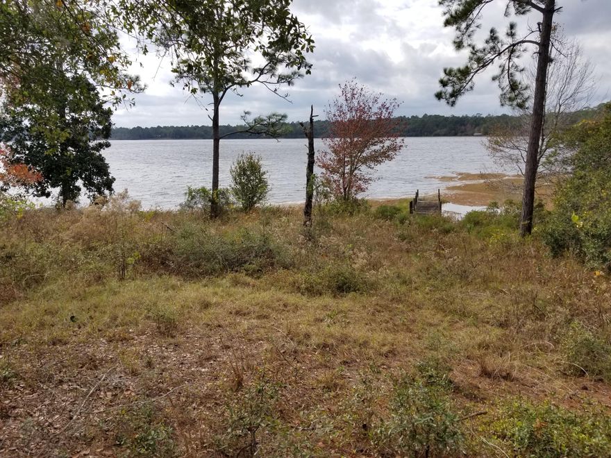 Nearly 11.5 acres of beautifully wooded land with over 800 feet of waterfront footage! This property comes ready with a well, septic, power pole, paved road access, cabin, a fish pond, and a dock right on gorgeous Juniper Lake. The perfect place to escape the city and relax or bring the entire extended family out for a great time! If privacy and space is what you are looking for, look no further. Call us today to schedule a time to view the property. The current owner has conducted soil and water analysis for future development. The plat map for 19 lots has already been planned by the engineer and is available to the new owner.