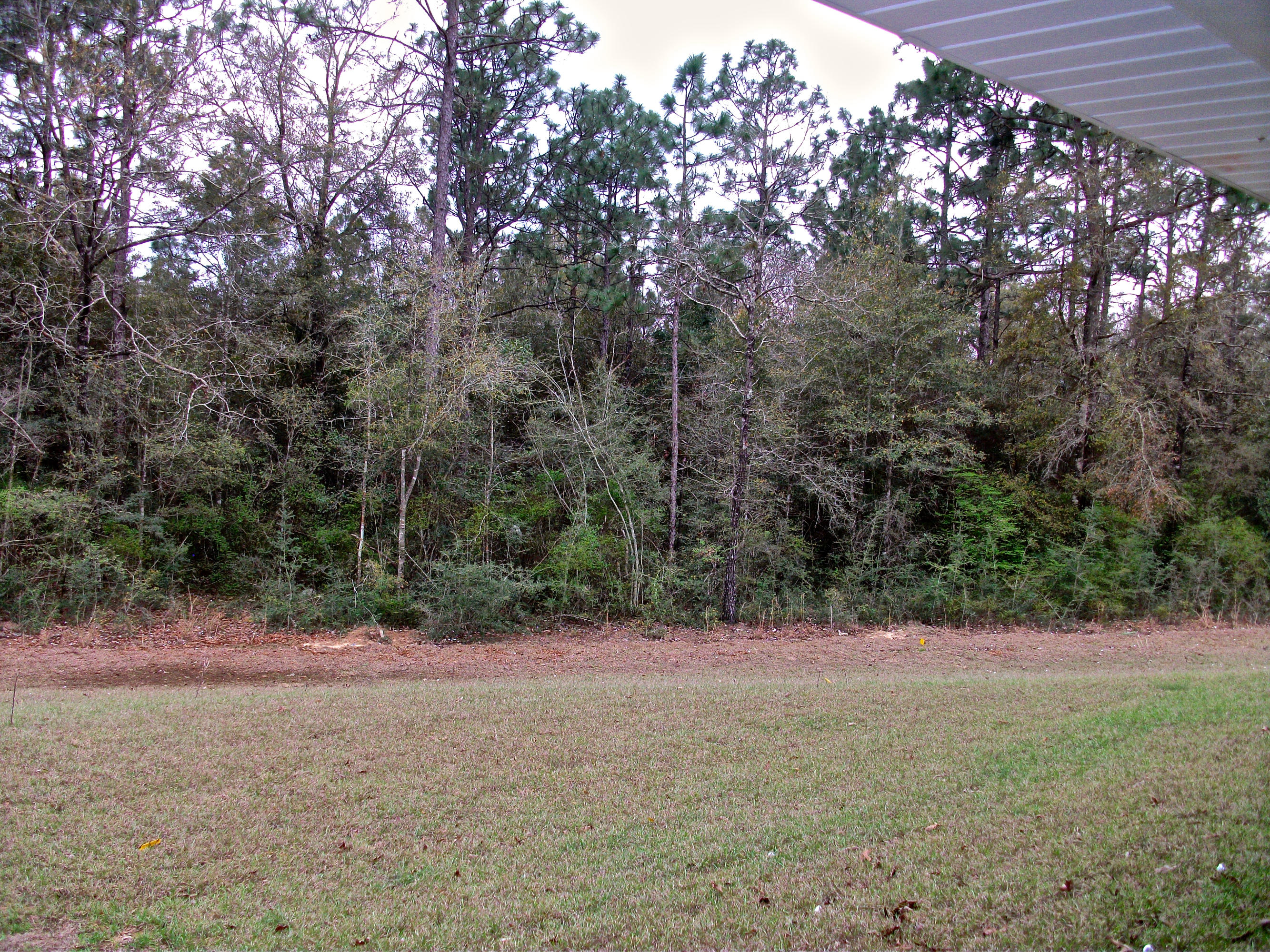 CARNEGIE HILLS PH 2 - Residential