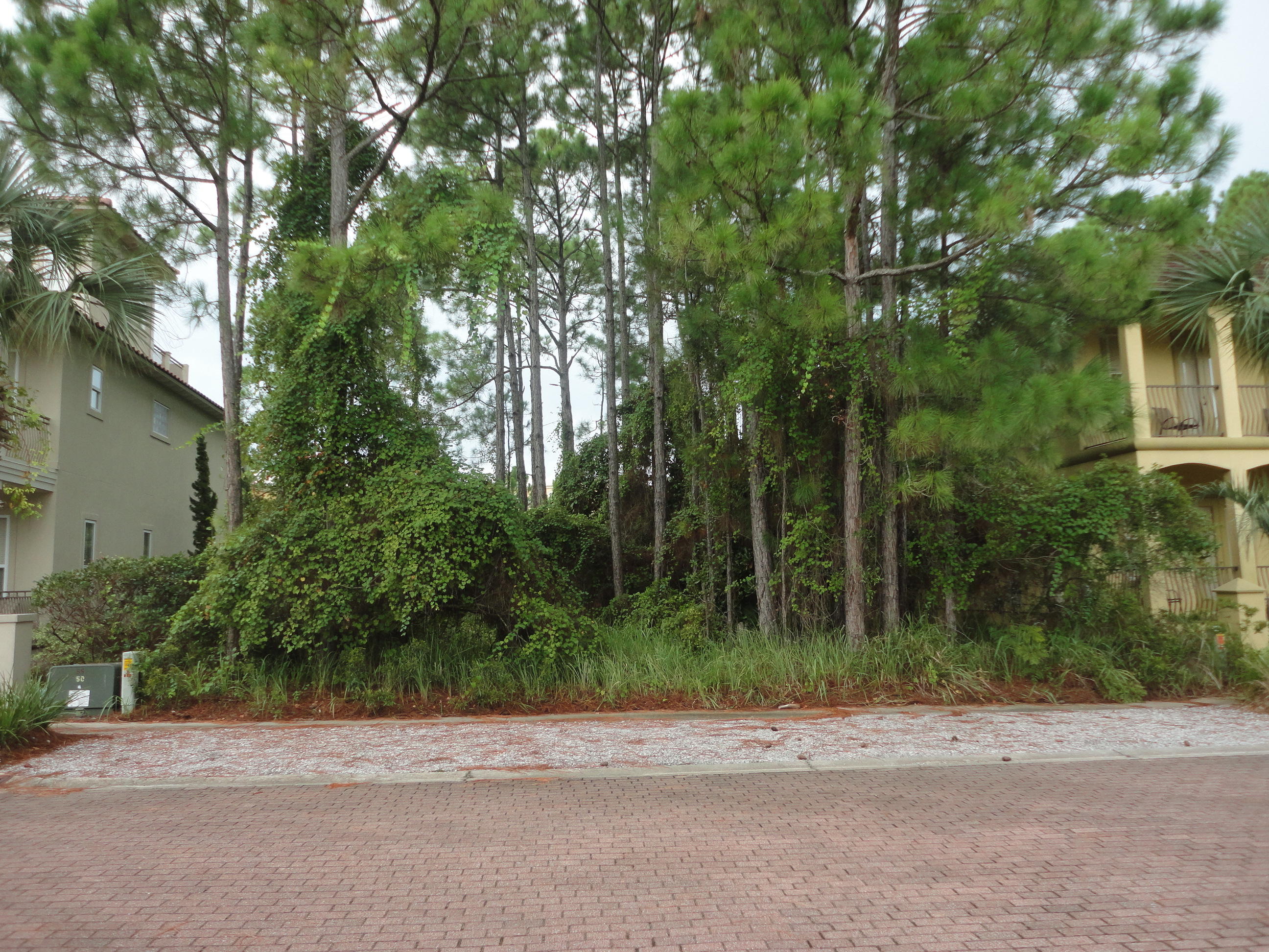 VILLAGE OF WHITE CLIFFS THE - Land