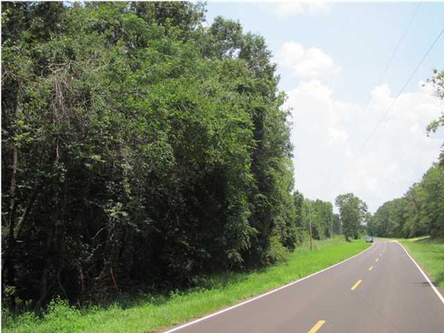 REDUCED! SELLER MOTIVATED. OWNER FINANCING WITH 25% DOWN. This 253 acre parcel is loaded with an abundance of deer, turkey and assorted wildlife. A wide assortment of hardwoods and natural pines cover the property. price reflects the fact that much of the subject property is wetland/swamp . multiple parcel ID's make up the 253 acres