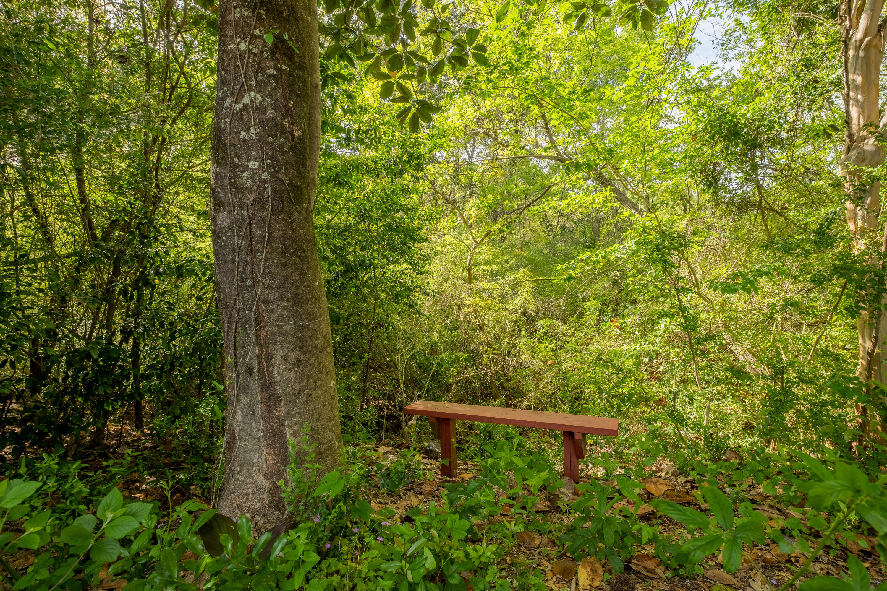 POWELL S/D - Residential