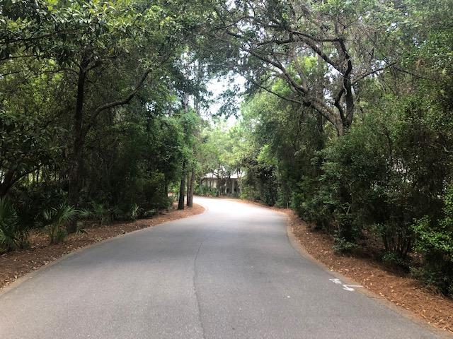 LAKEPLACE AT GRAYTON BEACH - Land