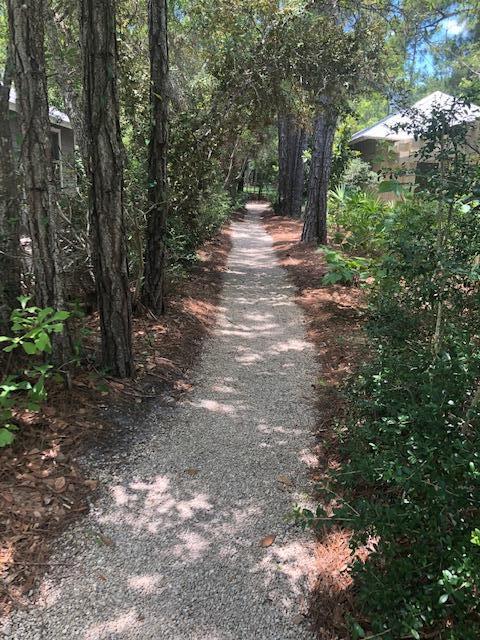 LAKEPLACE AT GRAYTON BEACH - Land