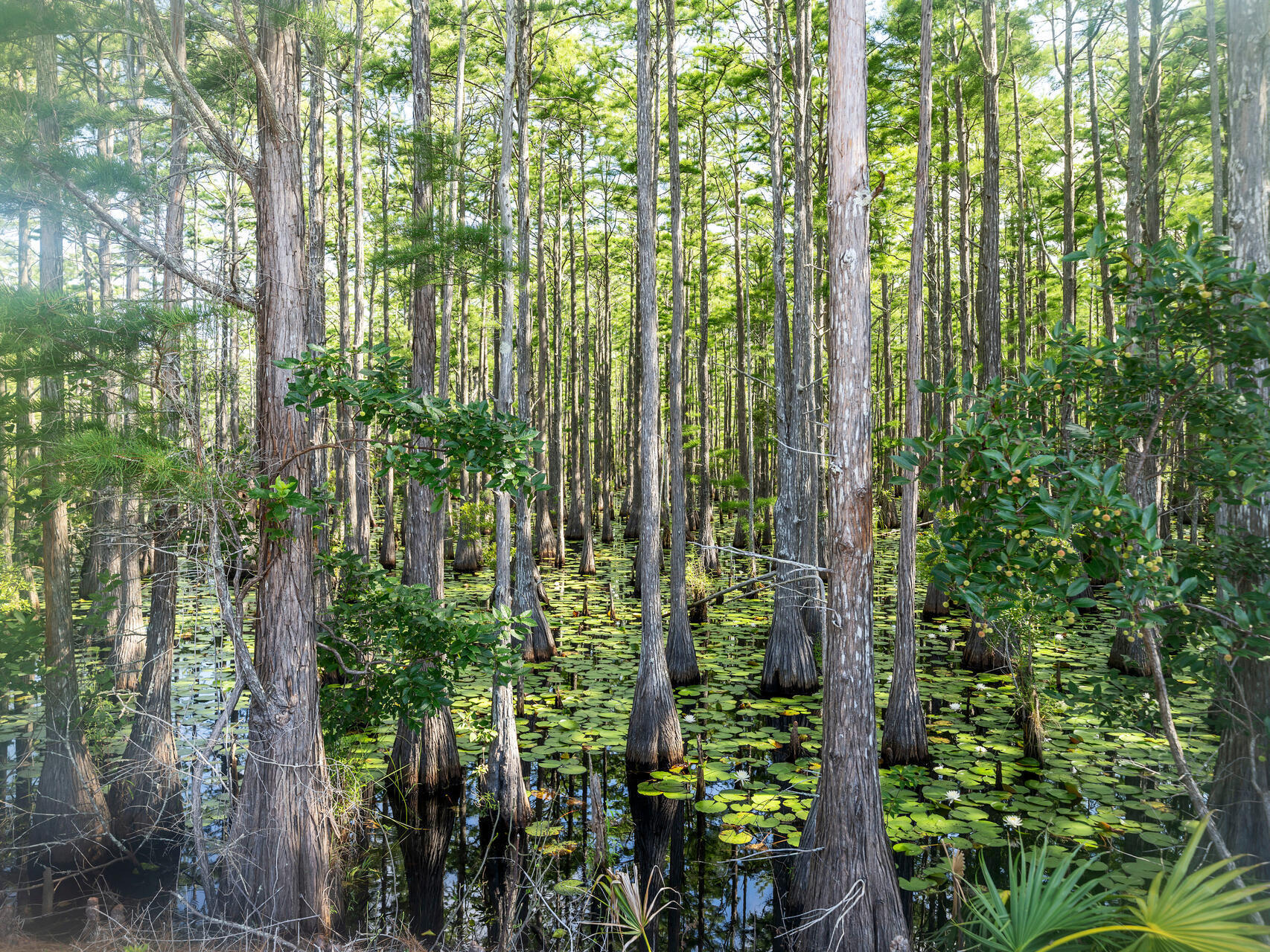 CYPRESS DUNES - Residential