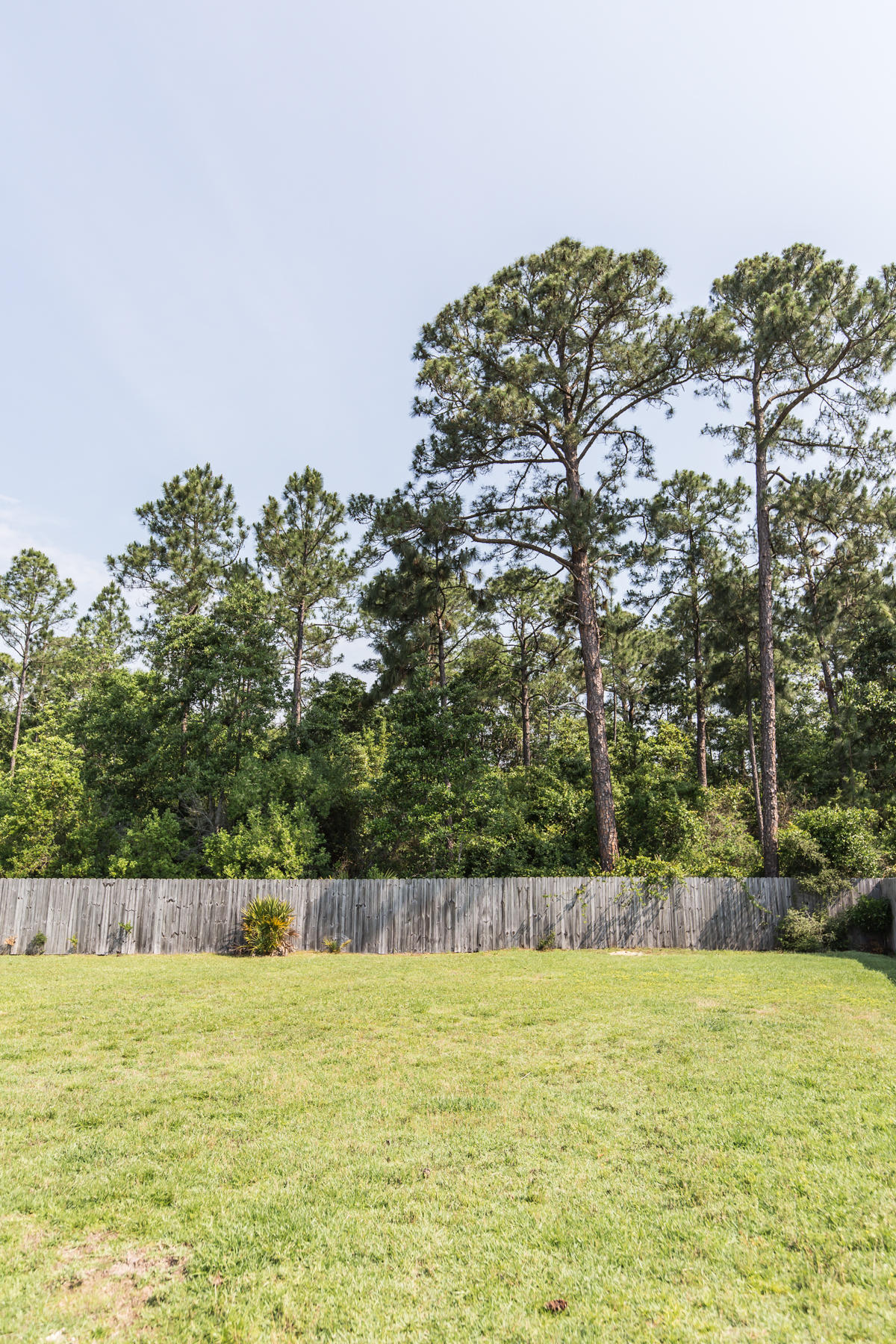 PROMISE CREEK - Residential