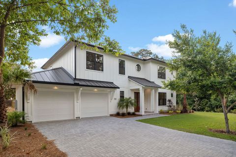 111 Dolphin Drive Santa Rosa Beach FL 32459
