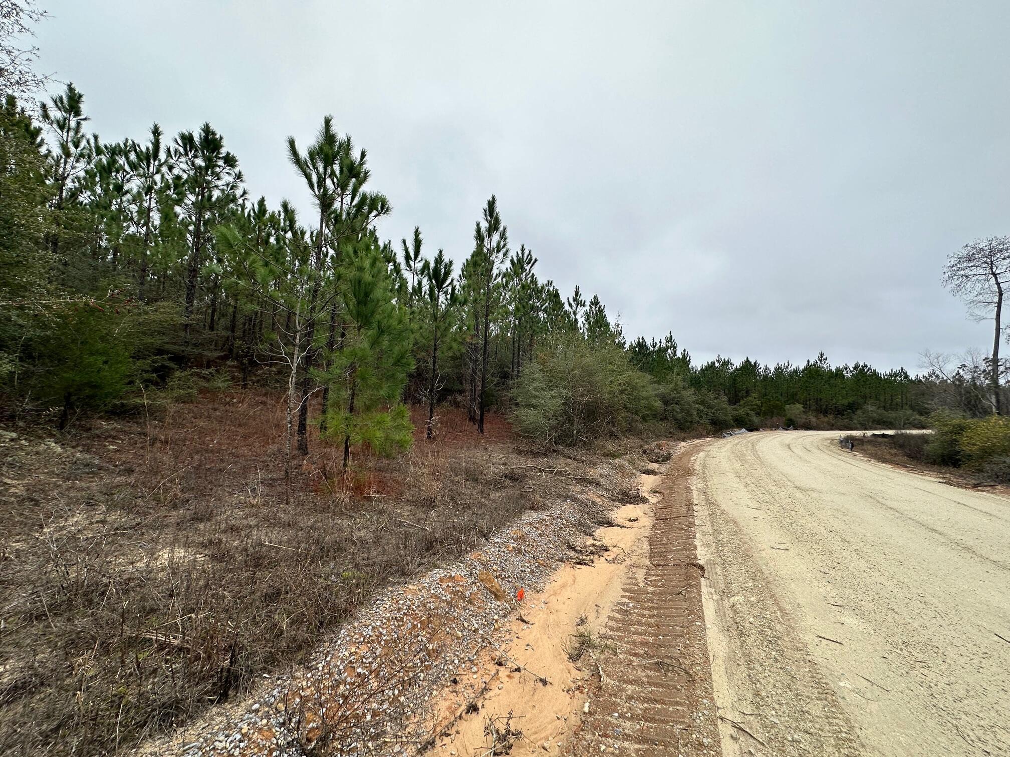 Dream Location for Country Living or Hunters Paradise either way you won't want to miss this opportunity! This Beautiful 9.83+/- Acres of prime land has so much to offer,Planted Pine- young pines. Bring your build plans, hunting gear, Horses and ATVS LOCATION LOCATION!!!! This Property has Easy Access to Panama City Beaches I-10, Hwy 79, and Hwy 90. Additional land available