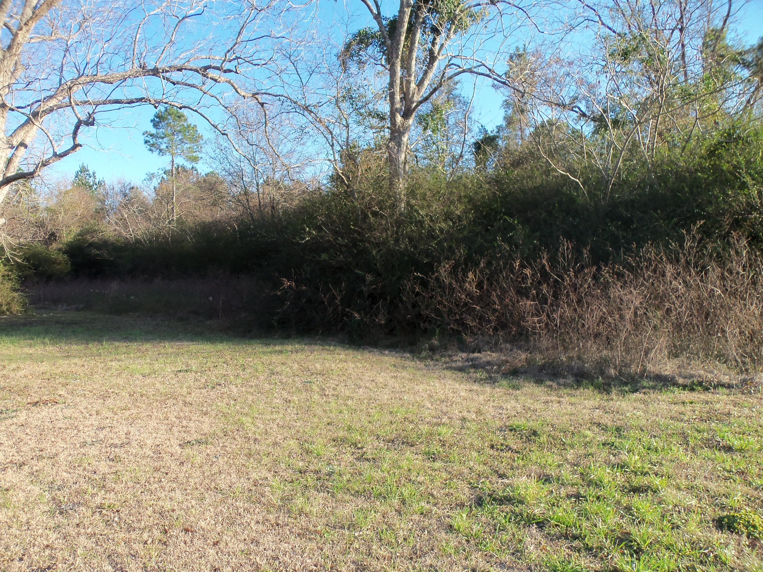 Country living yet close to Baker! This 7.45 acre parcel has Beautiful trees, oak, pecan and pine. Clear this land and build your gorgeous new country home! Yes, its on a paved road, has electricity and Baker water. You can have horses if you would like and lots of pets. A survey will determine the exact acreage, this is part of a larger parcel. Drive by and see if this is what you have been looking for.Shed on property does not convey with land purchase.