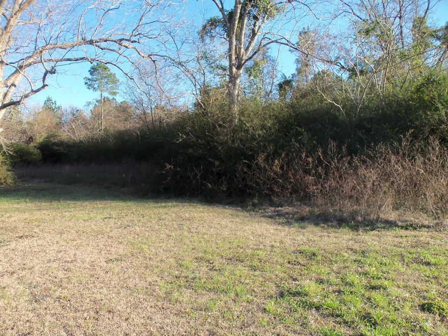 Country living yet close to Baker! This 7.45 acre parcel has Beautiful trees, oak, pecan and pine. Clear this land and build your gorgeous new country home! Yes, its on a paved road, has electricity and Baker water. You can have horses if you would like and lots of pets. A survey will determine the exact acreage, this is part of a larger parcel. Drive by and see if this is what you have been looking for.Shed on property does not convey with land purchase.