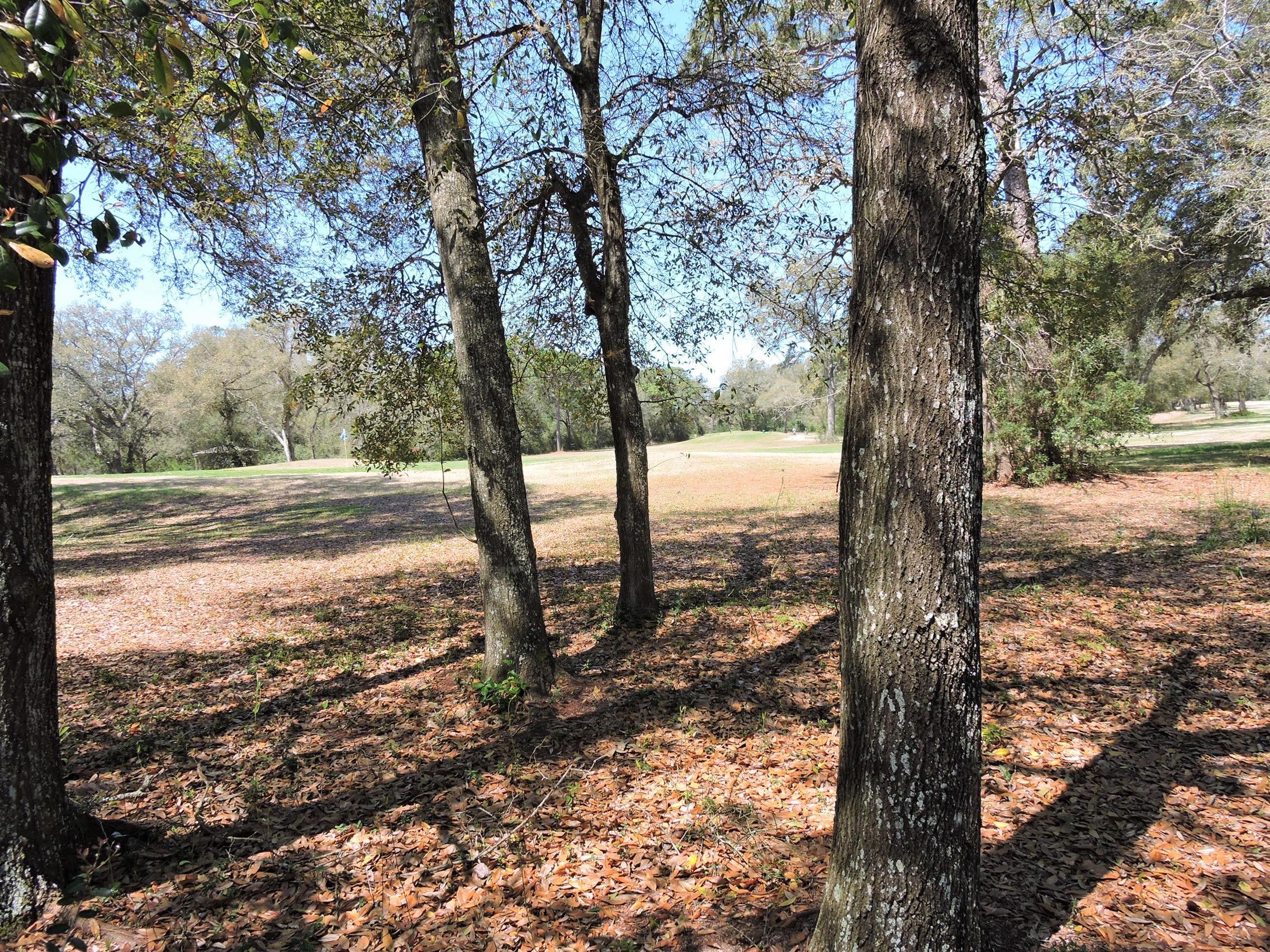 CEDAR RIDGE - Residential