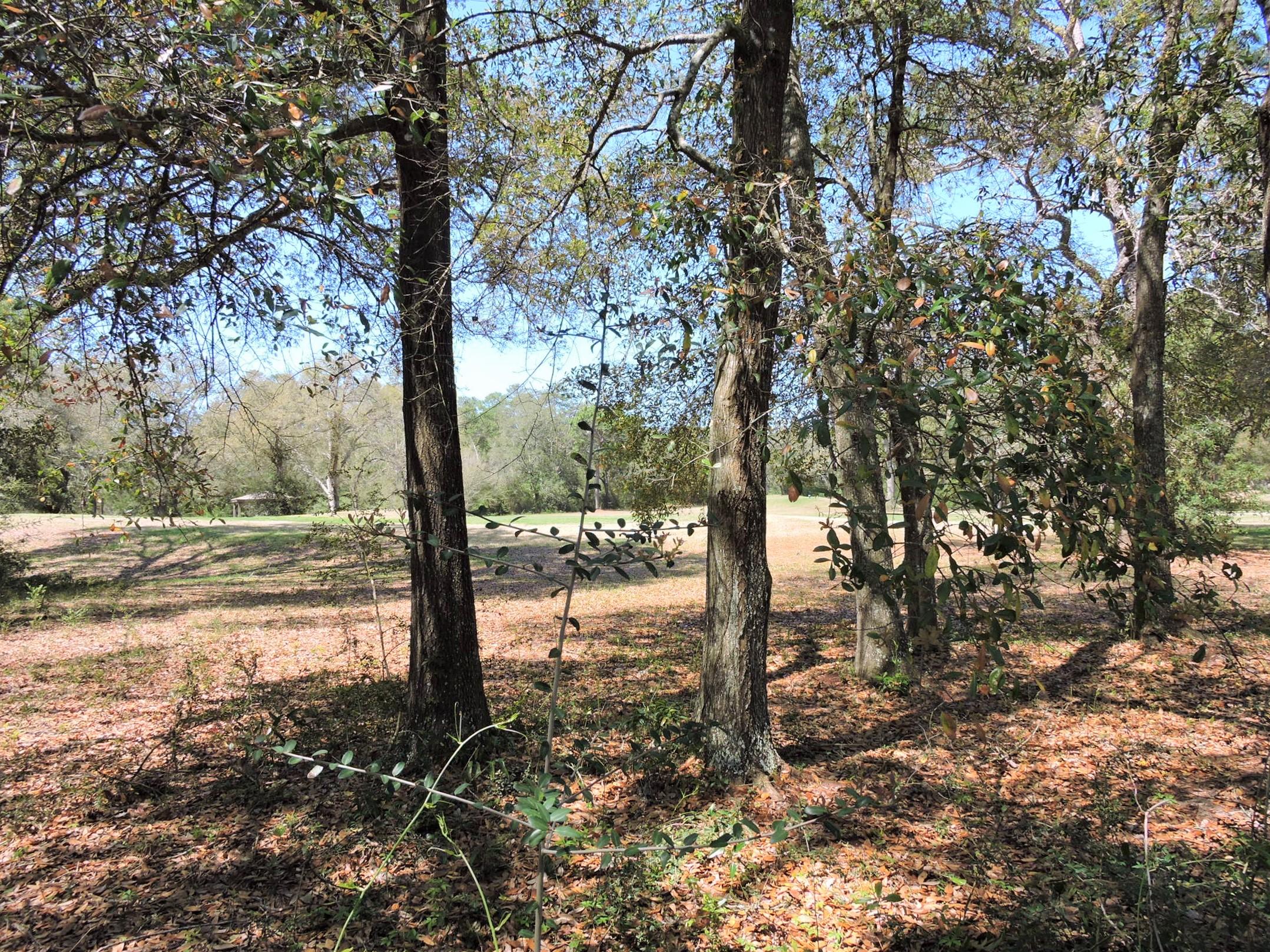 CEDAR RIDGE - Residential