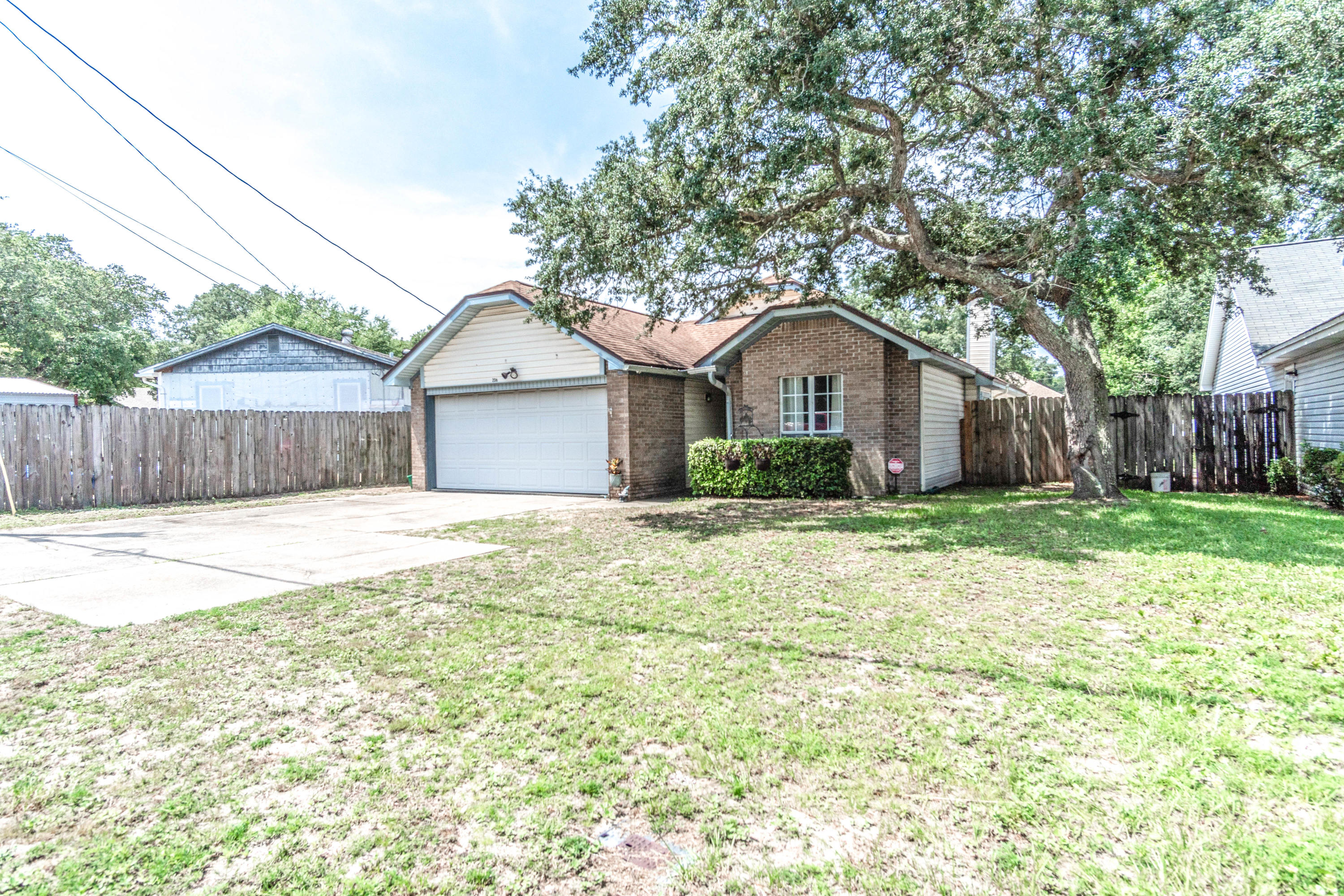 SUMMER TREE - Residential